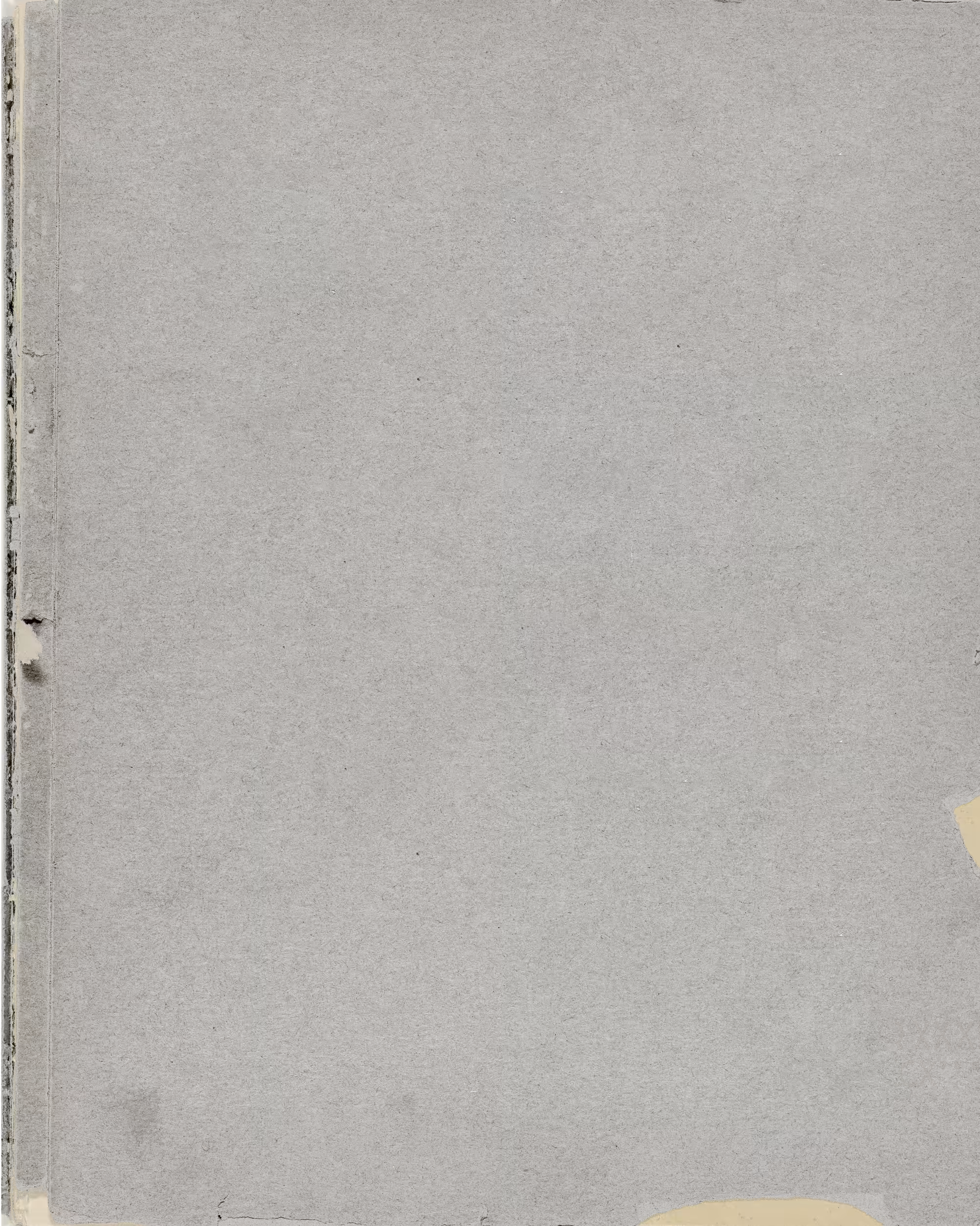 SLIMESHOP - Grainy Cover - #3066