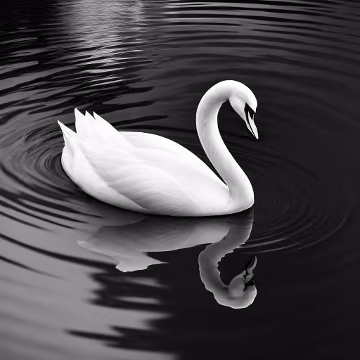 Swan Lake 4