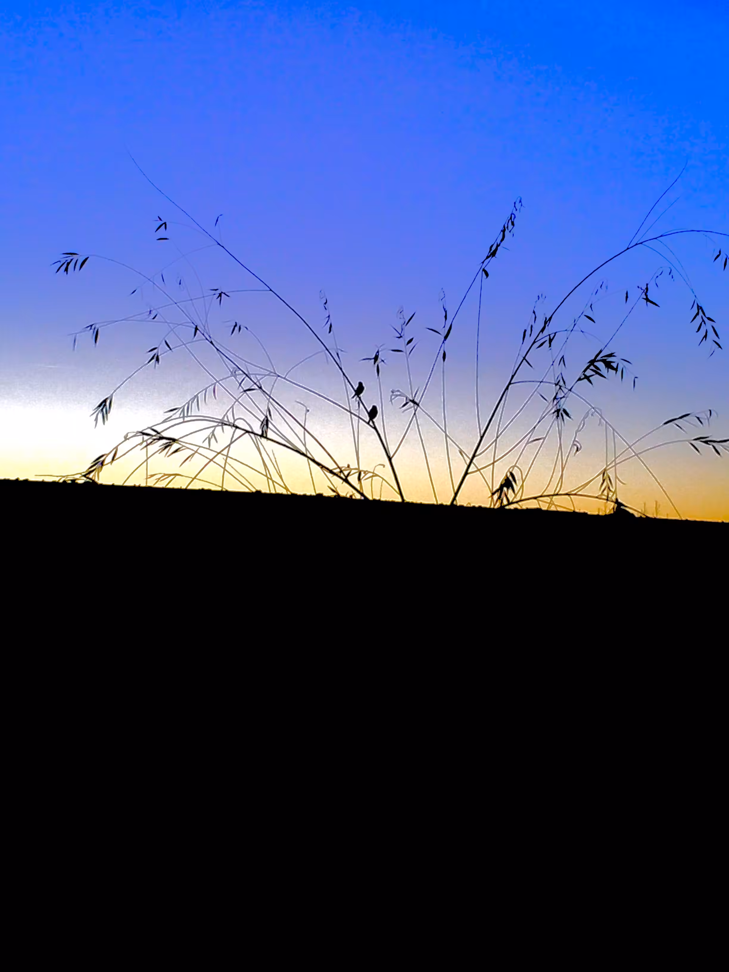 Autumn sunset 