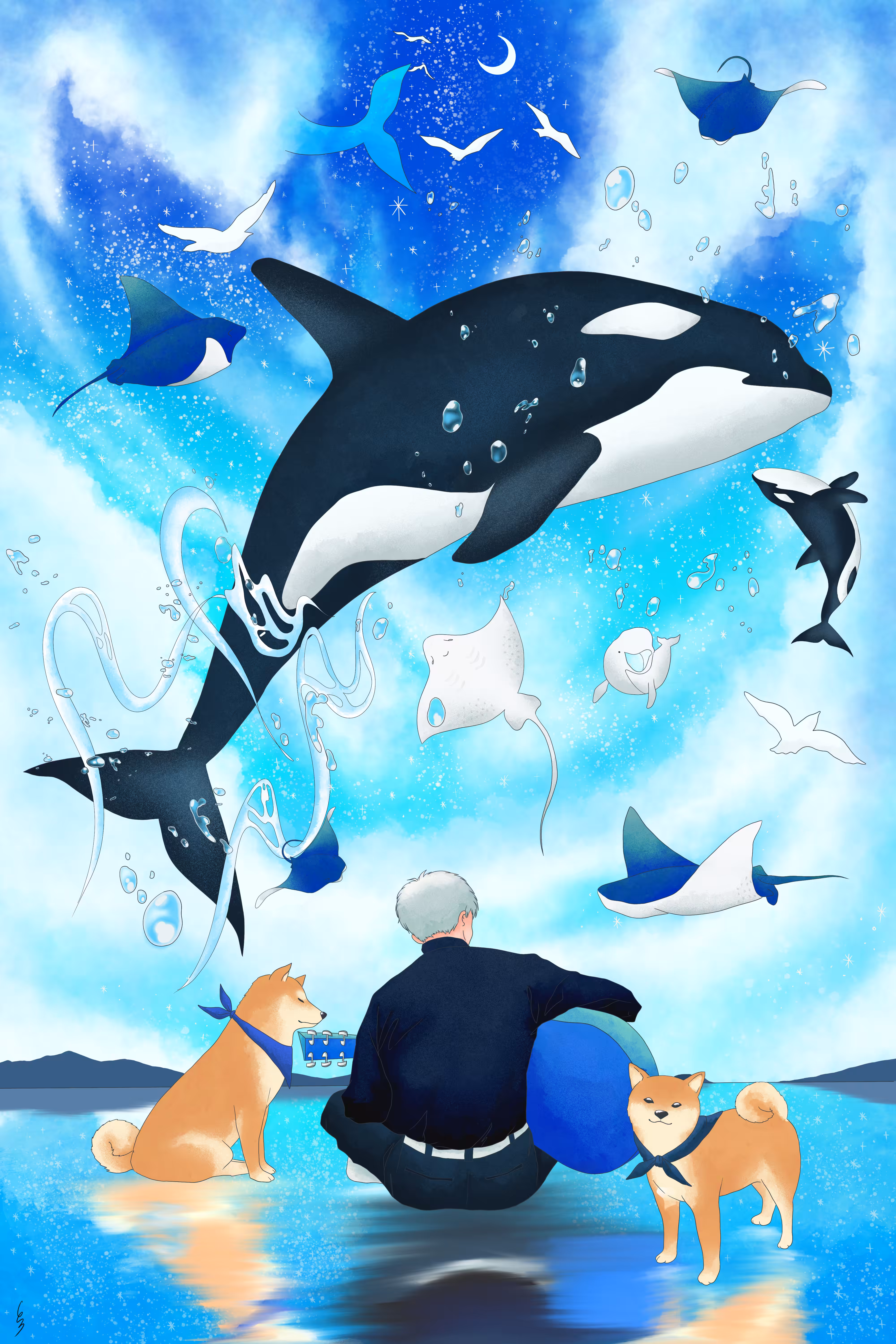 Whale Song