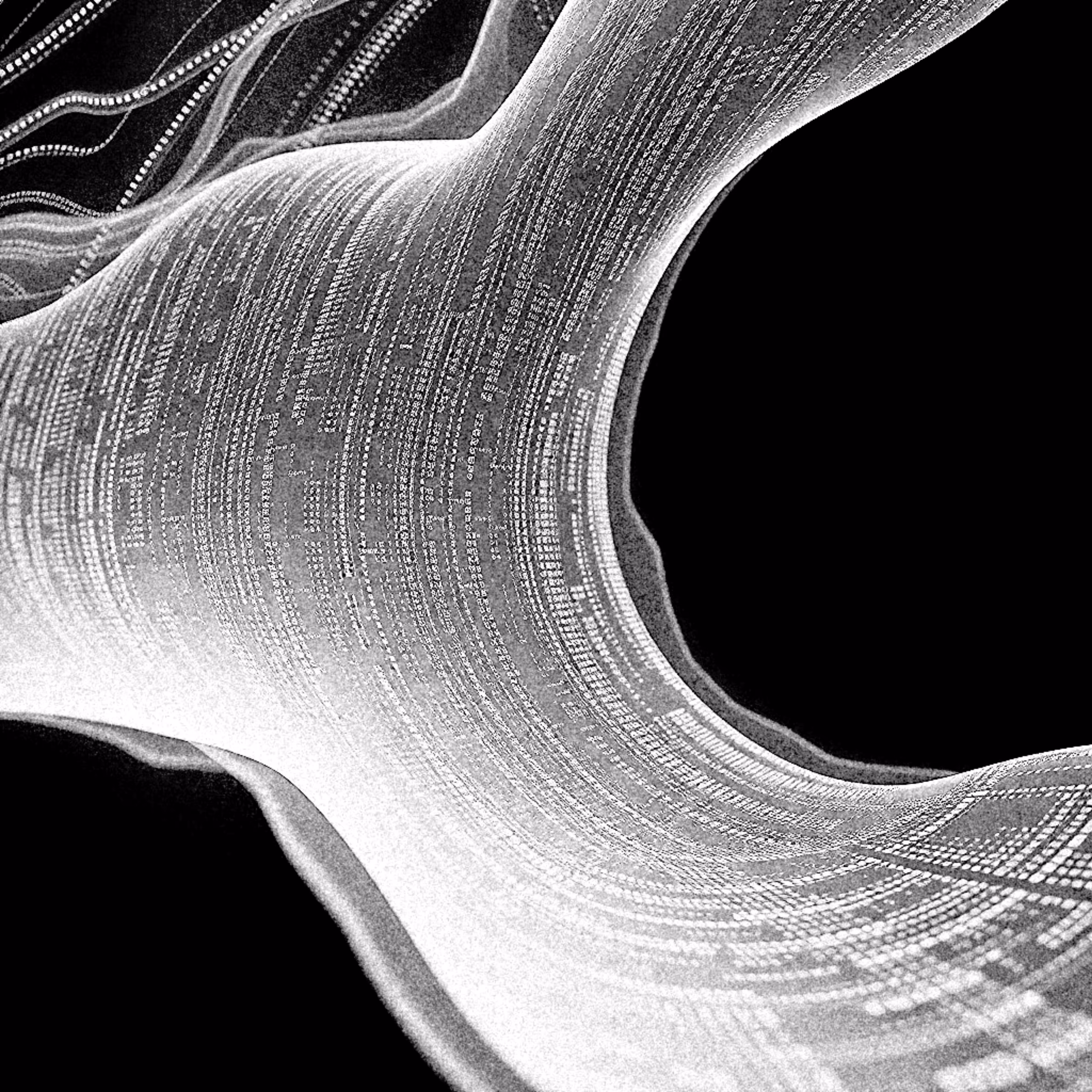 identity collapse recursive erasure