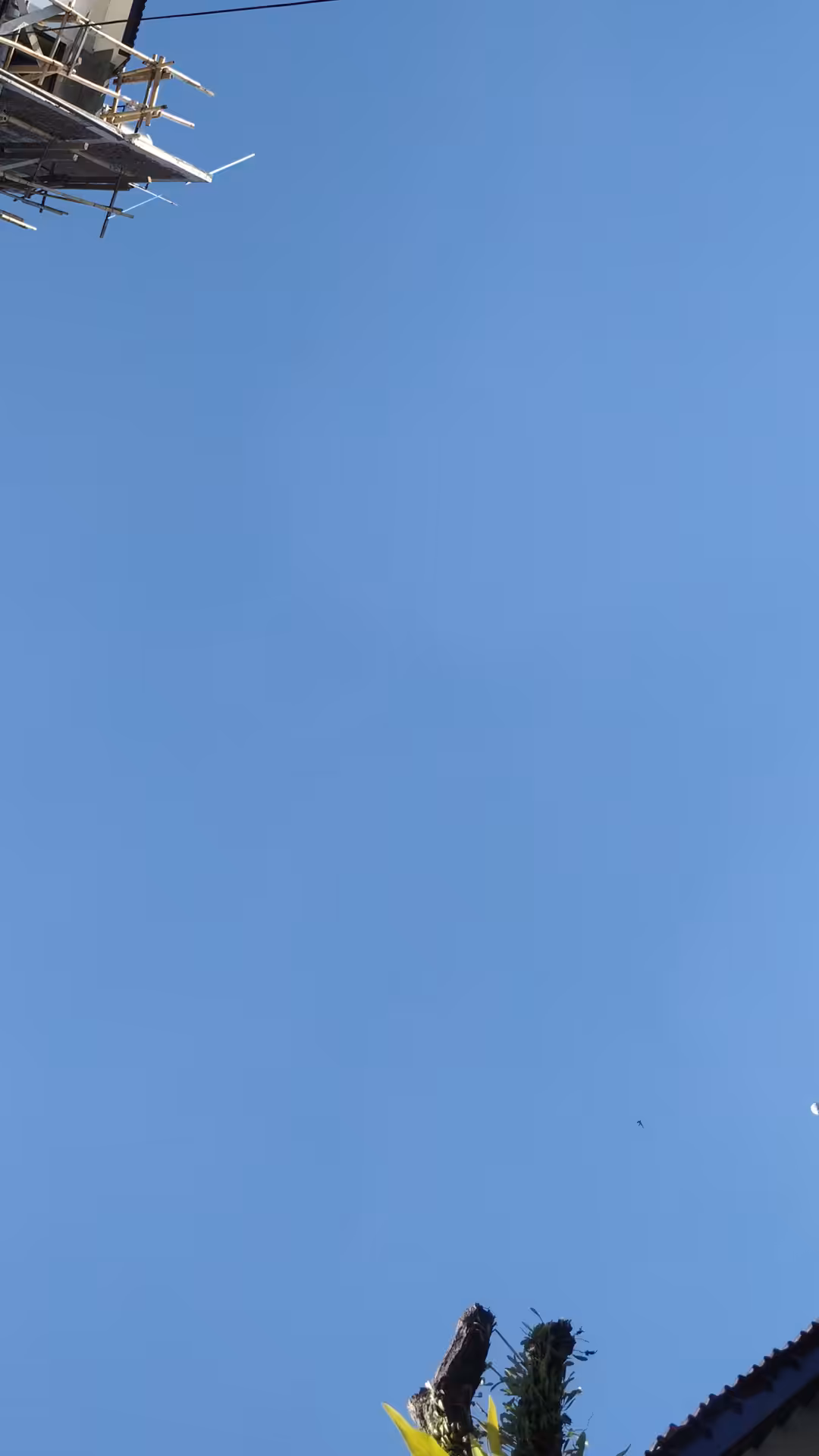 Blue Screen #1