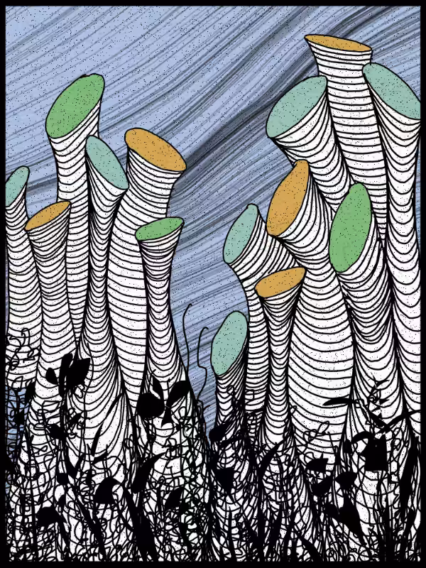Play with lines #zentangle #36