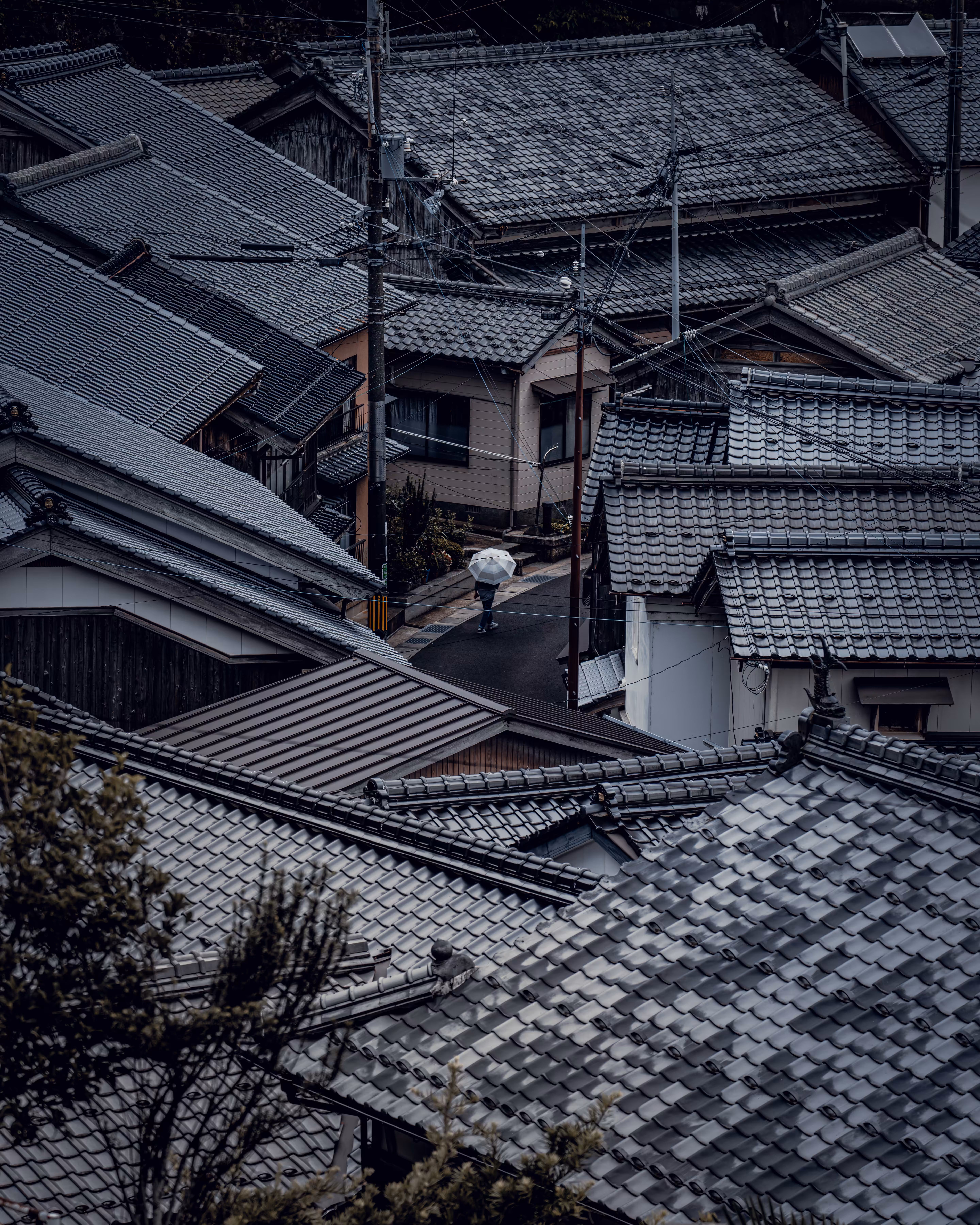 Roof layers