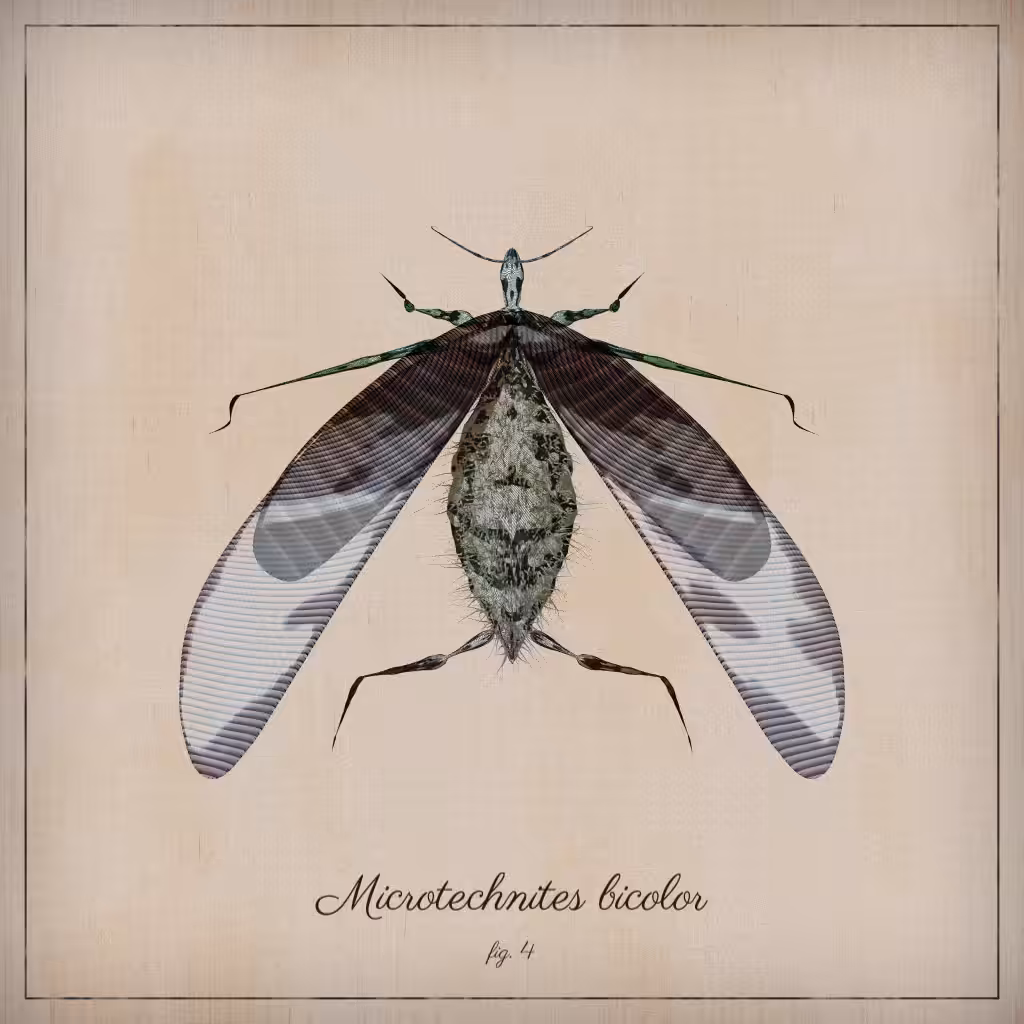 ProcGen Entomology #329