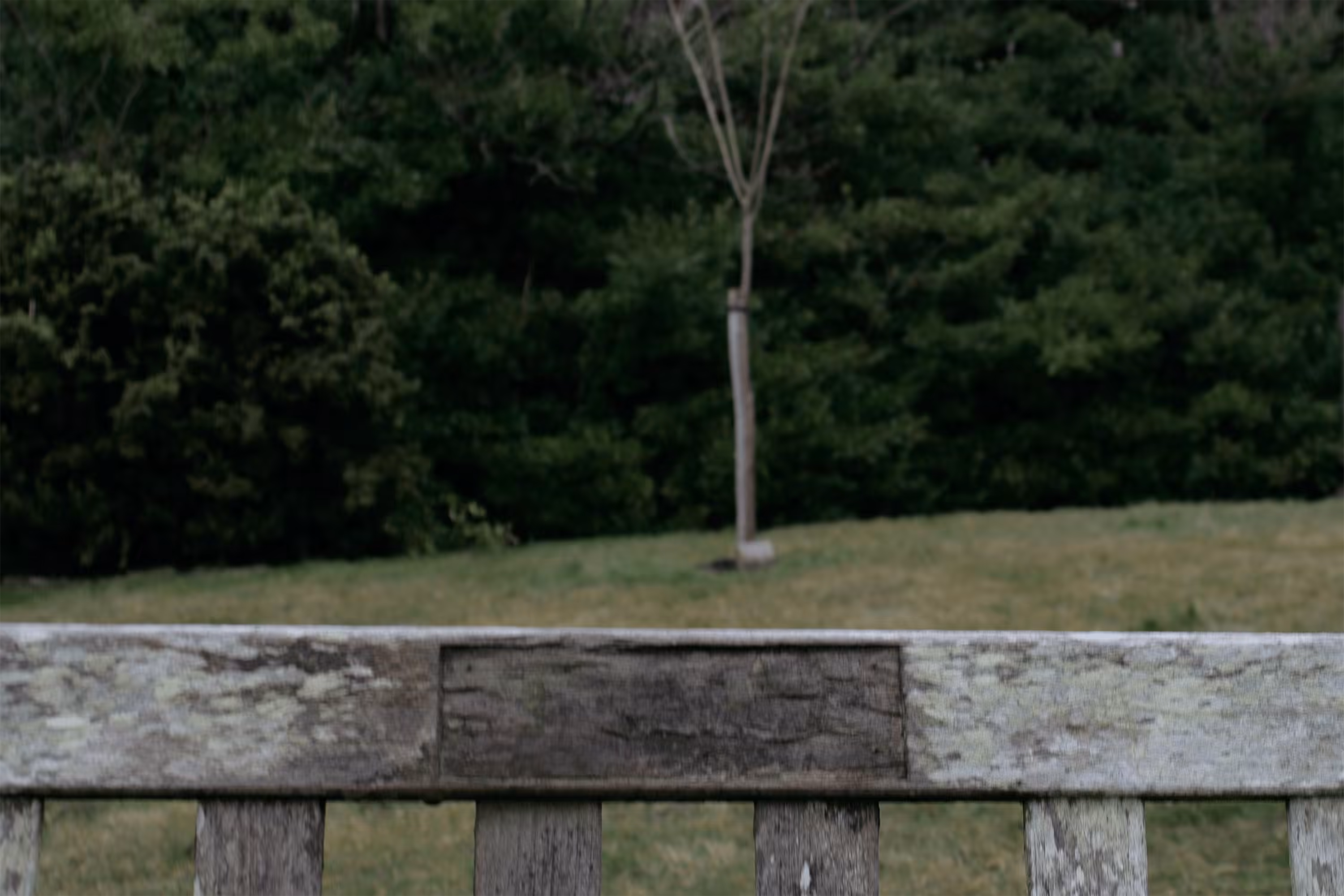 Hillside Bench