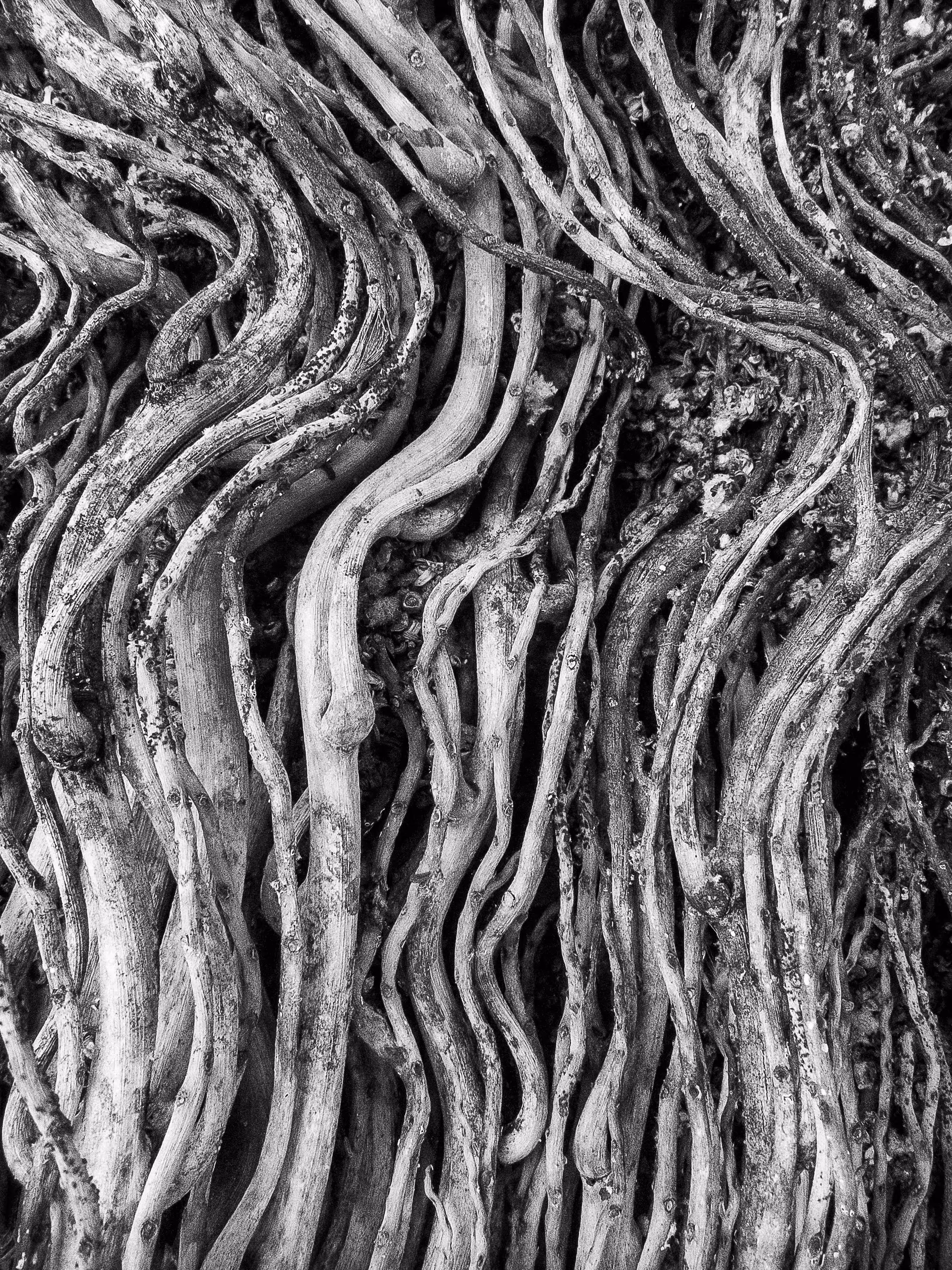  Wavy Textures