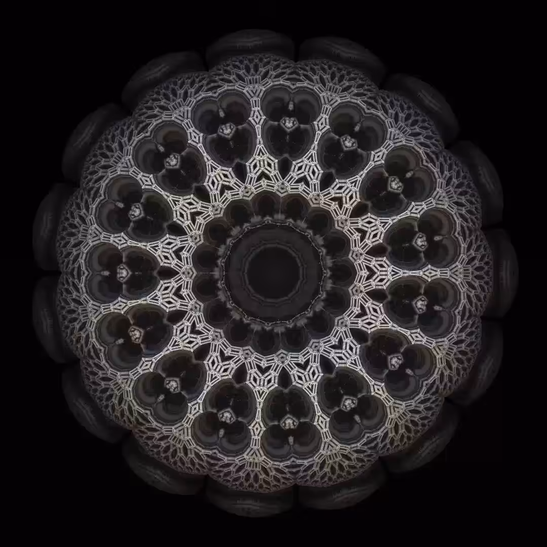 Blooming Mandala