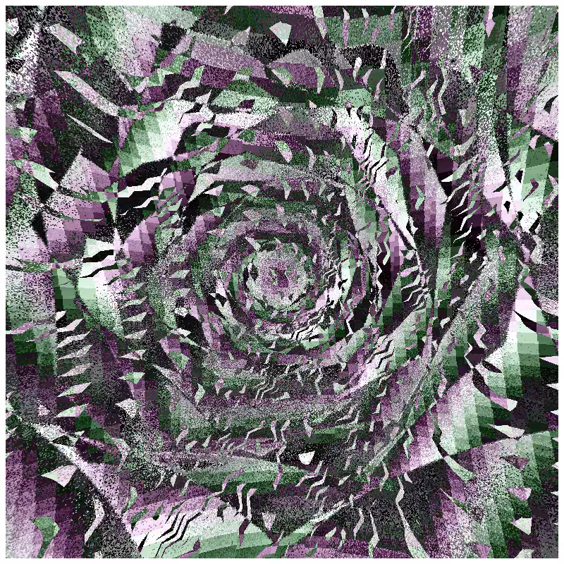 rosette #243