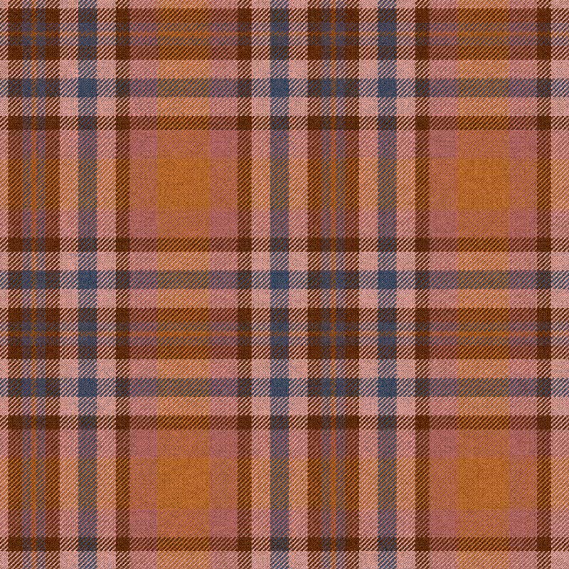 Tartan Cloth #27