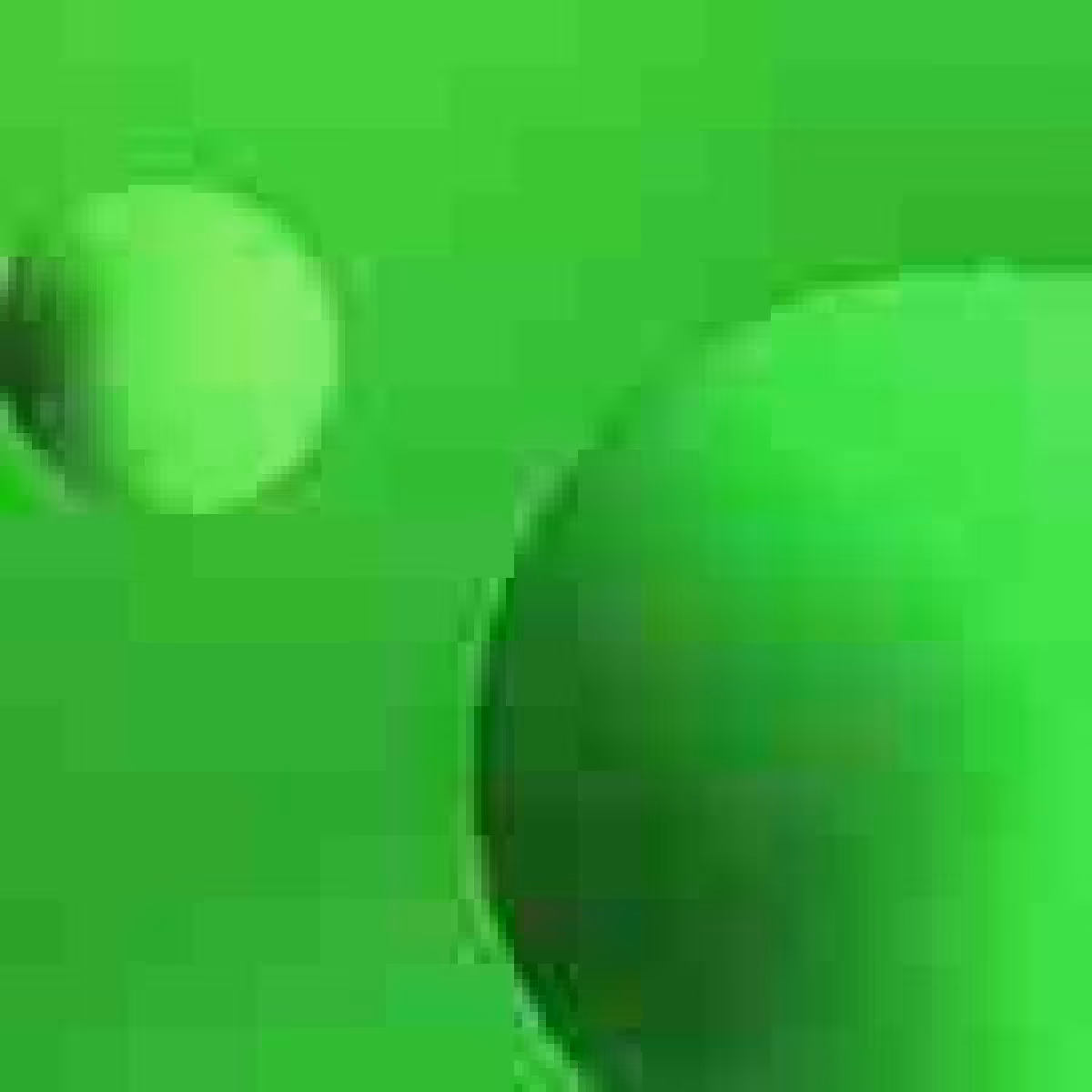 Orbit 921576177