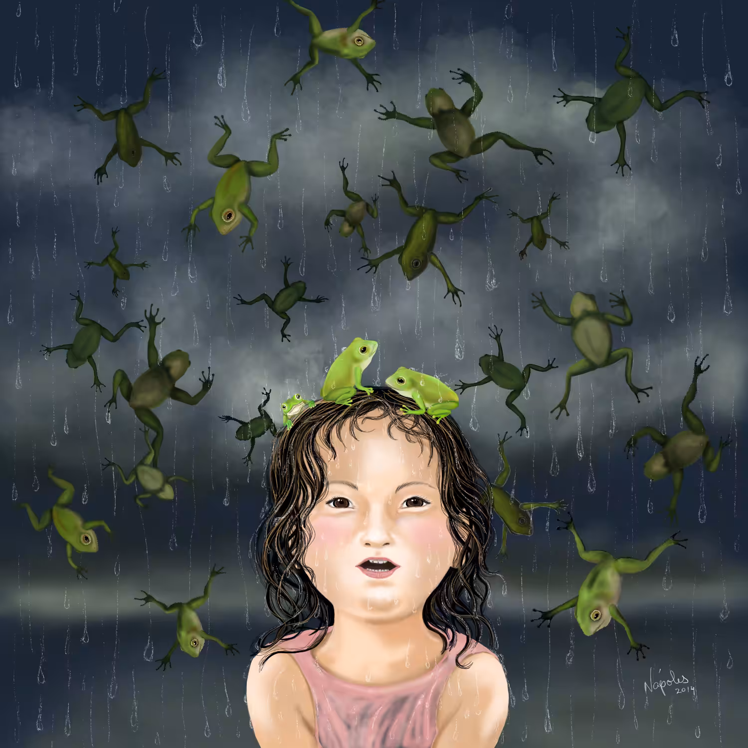 LLuvia Forteana