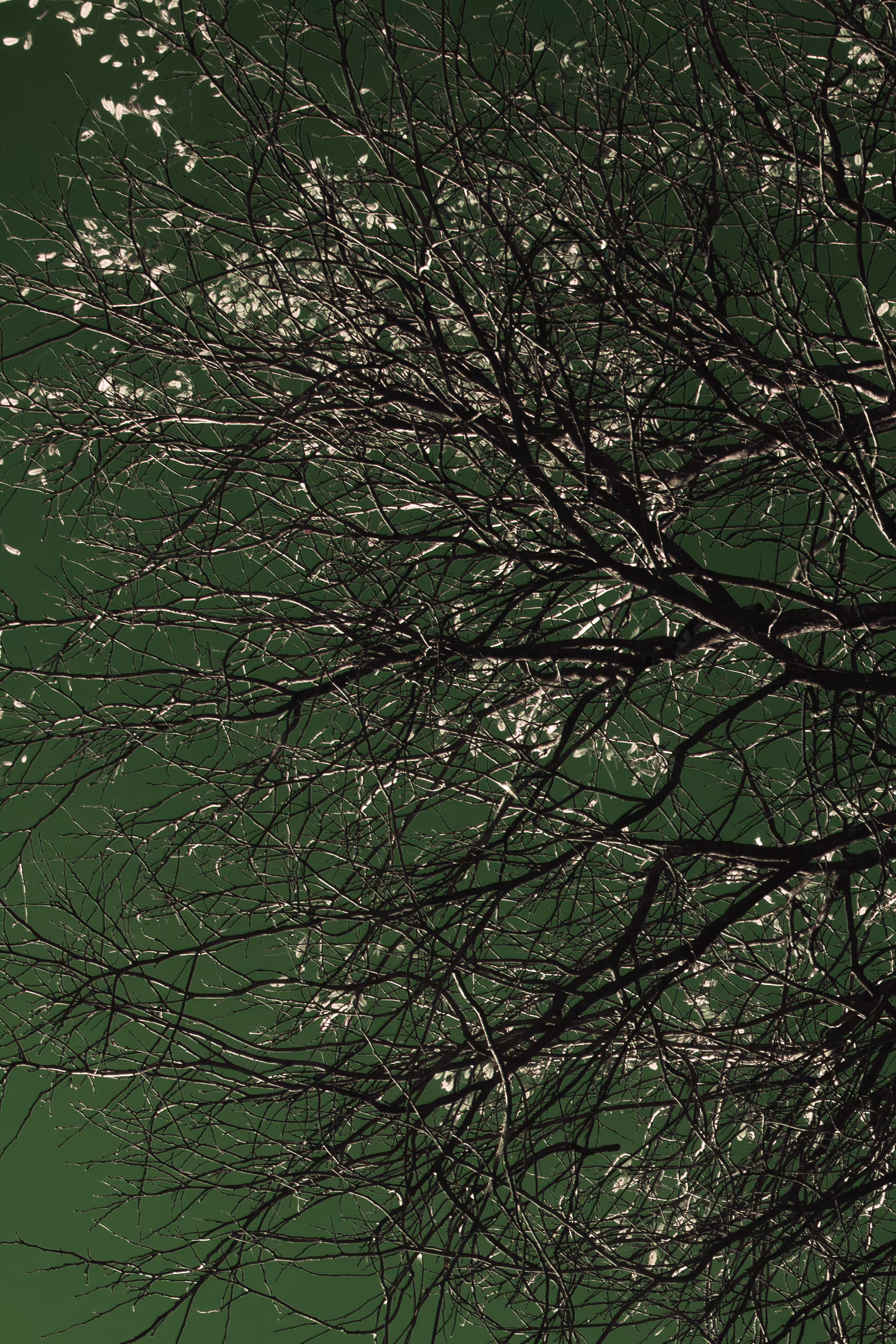Green valley