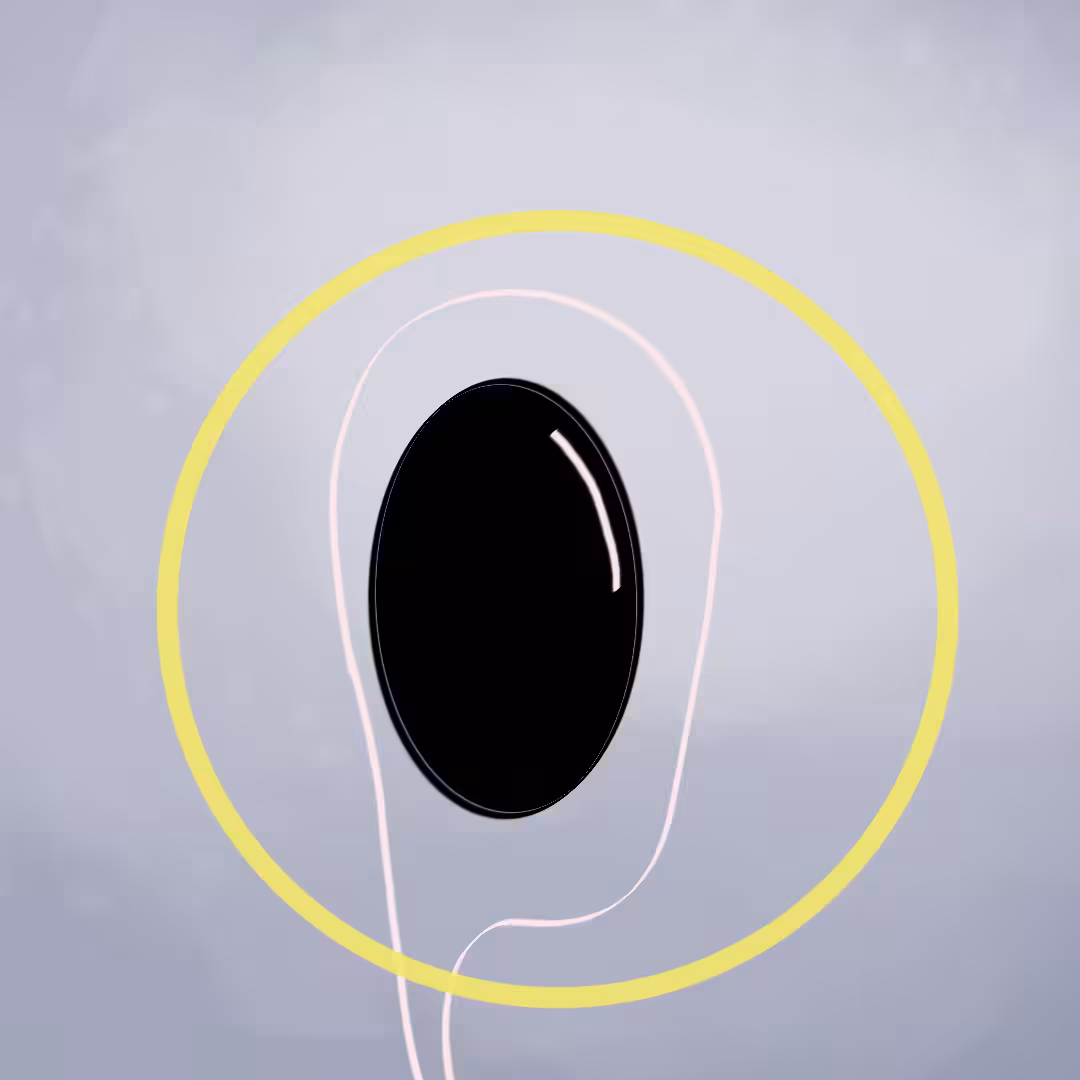 (w)hole inside