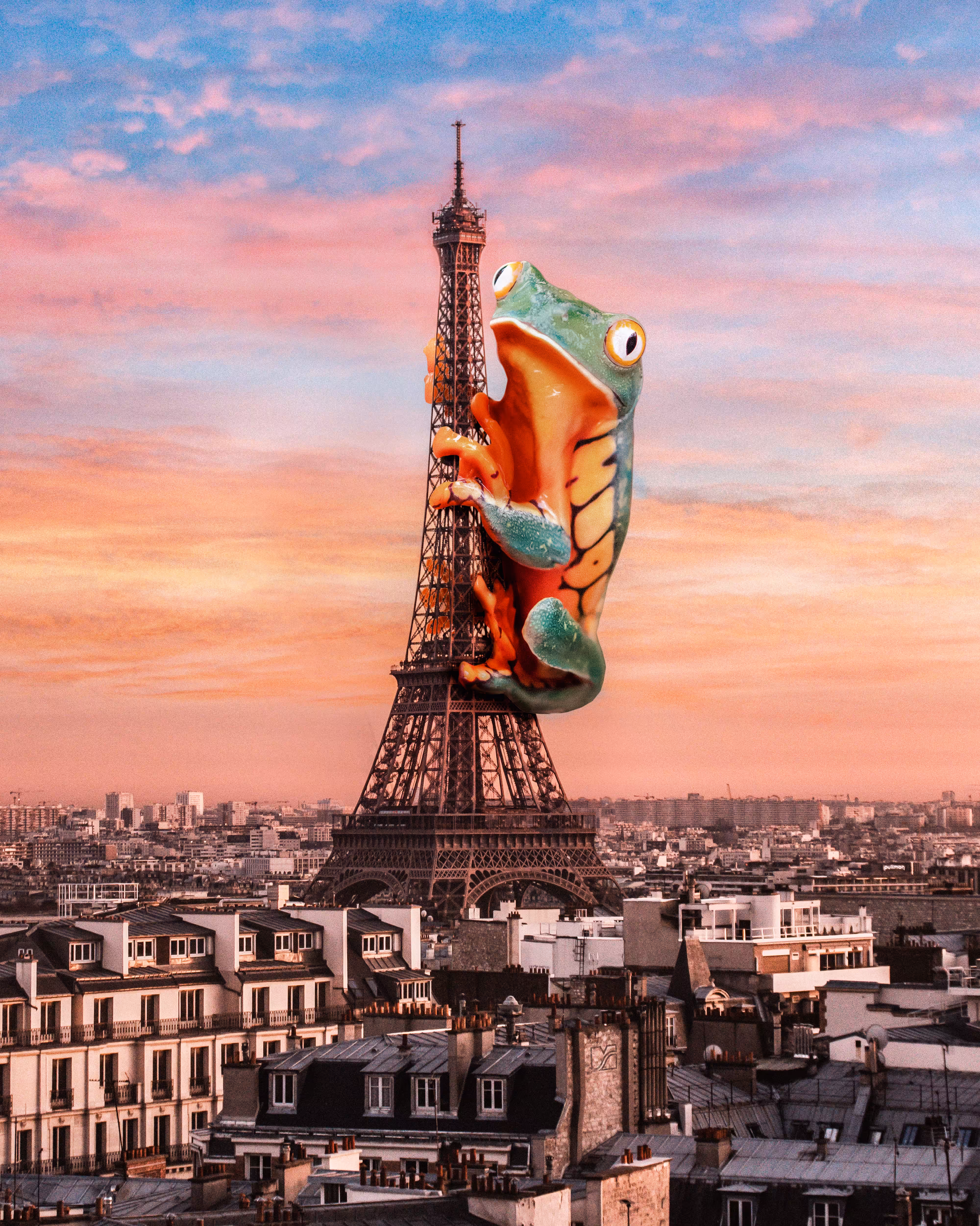 Bizarre Beasts: Freddy the Frog