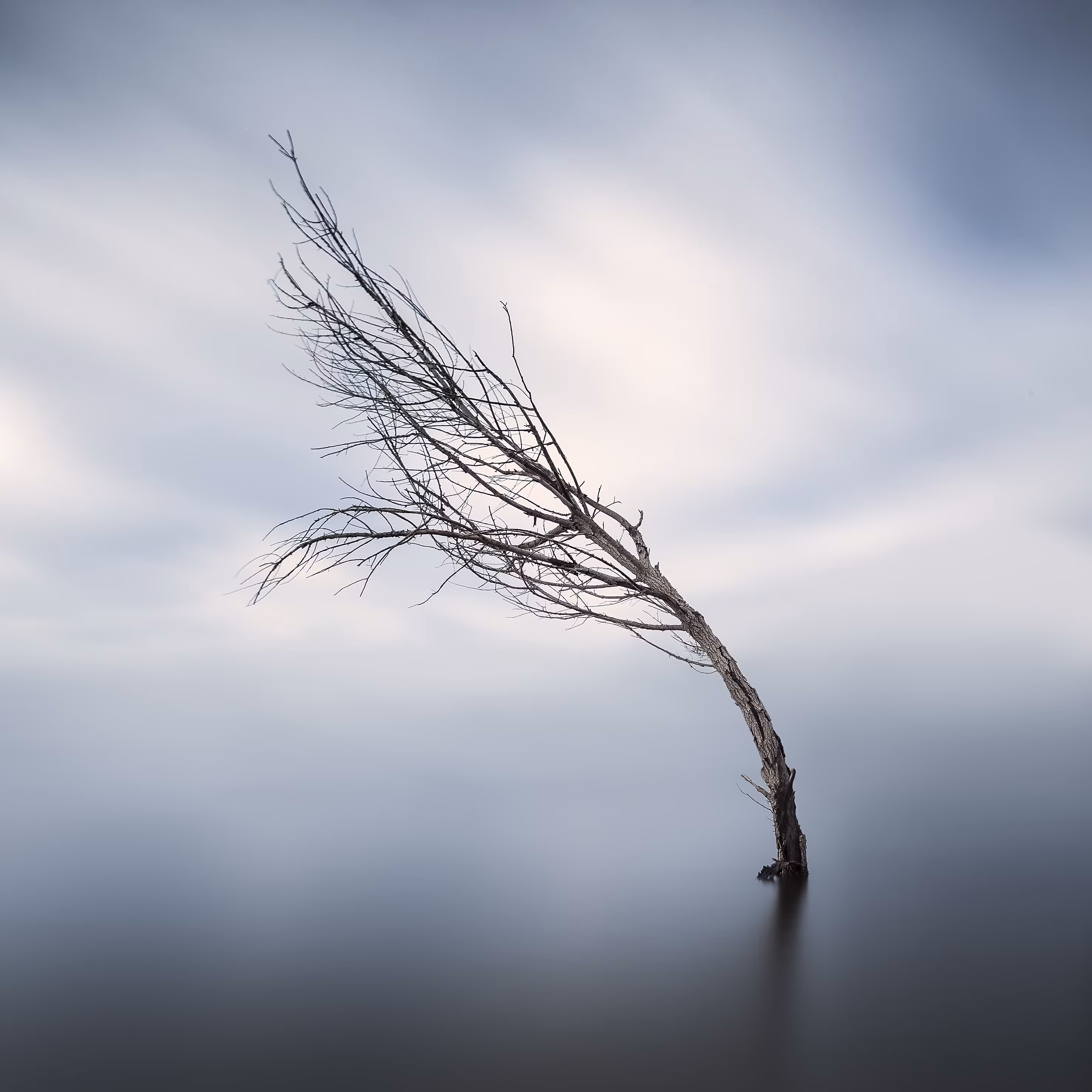 Alone