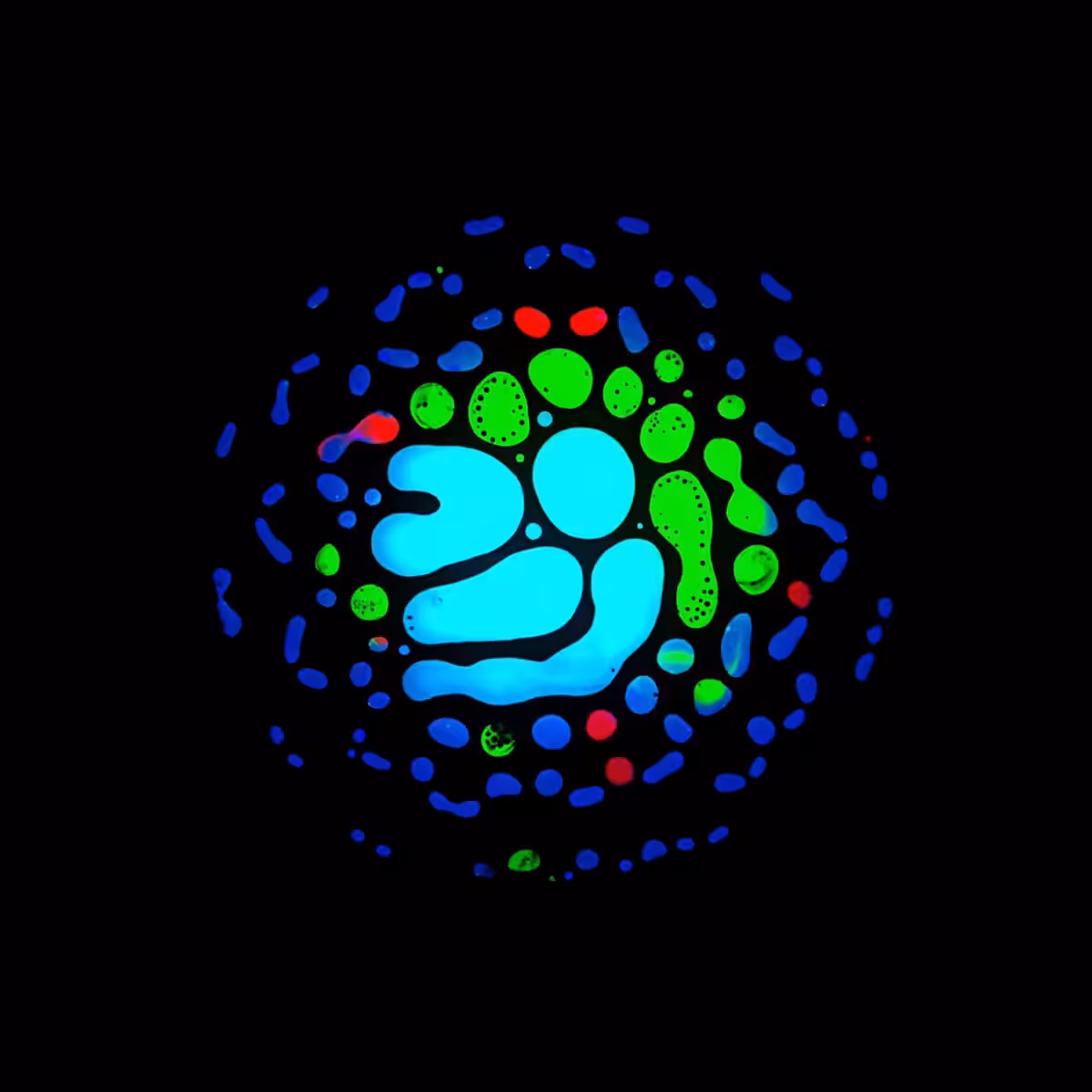 Haematopoiesis #215