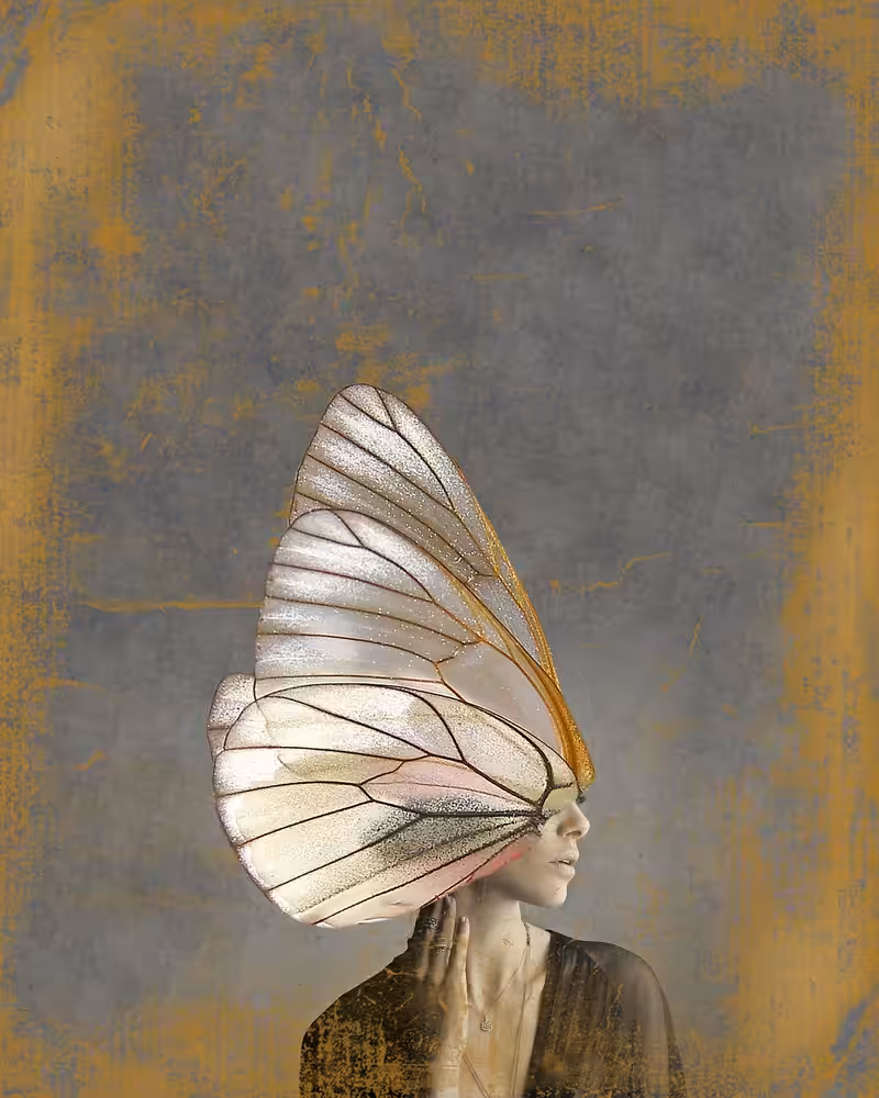 / PSIQUE / wings  (still image)
