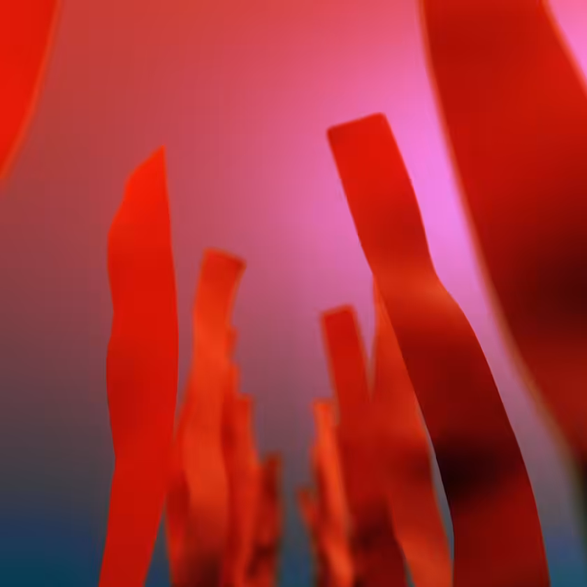 raise up the red flag