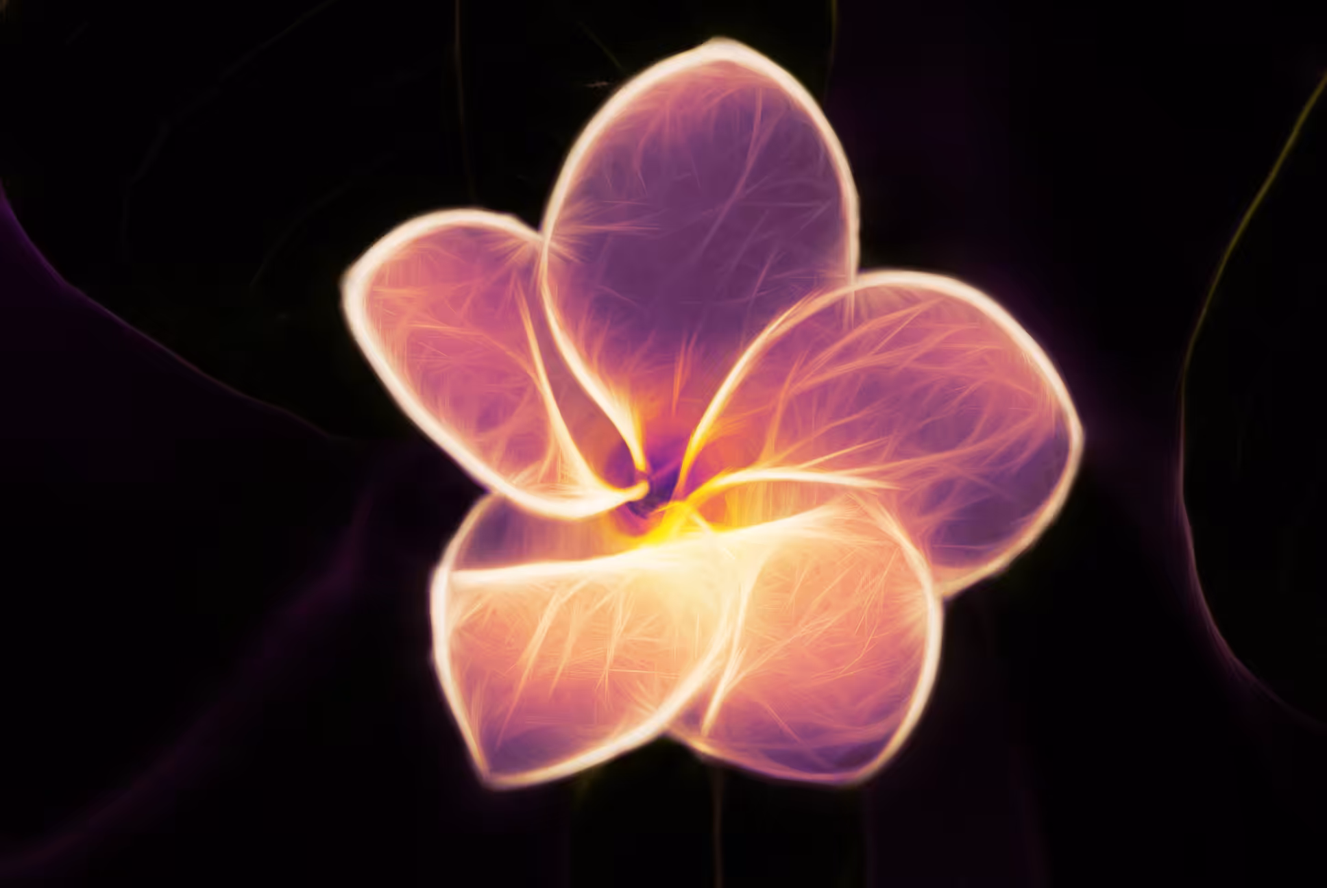 fractal flower