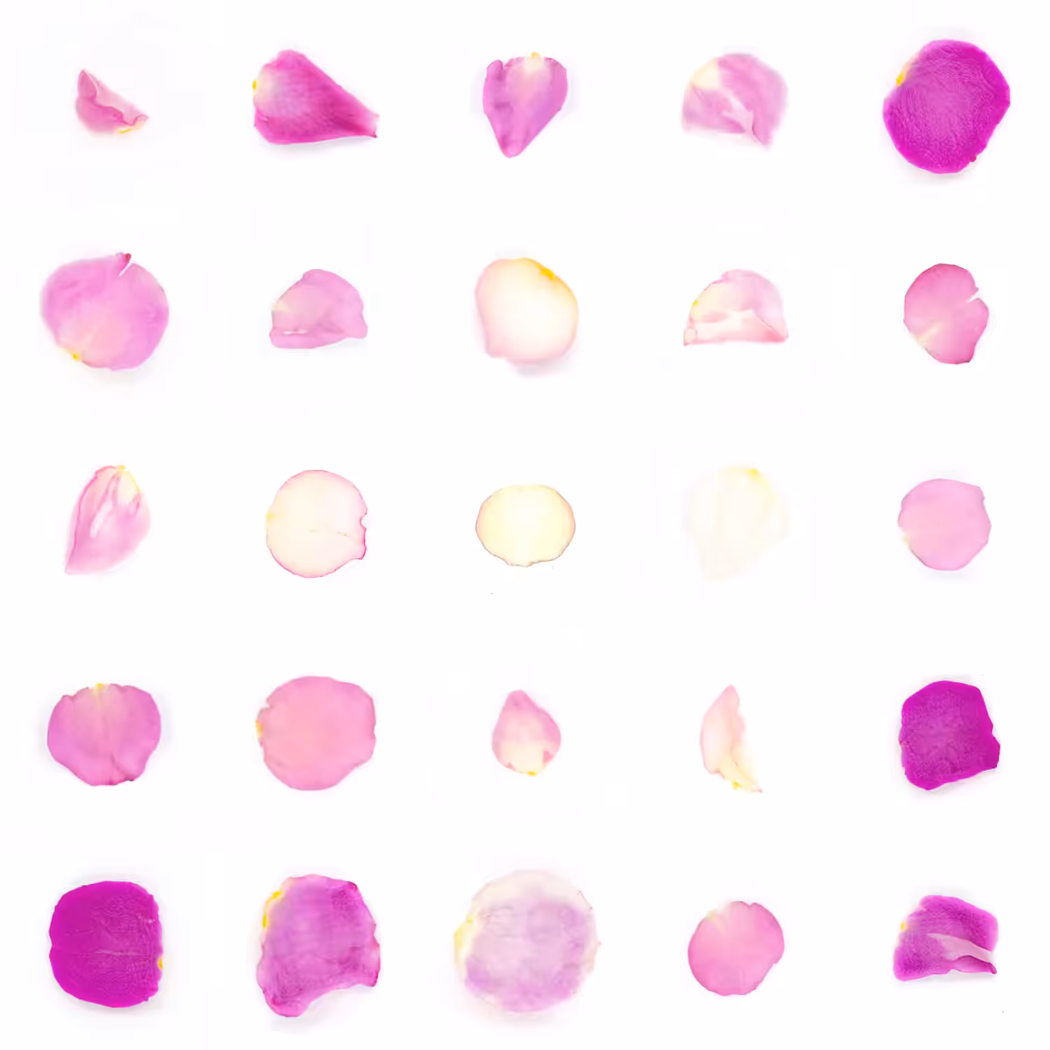 Infinite Petals 5x5#20135