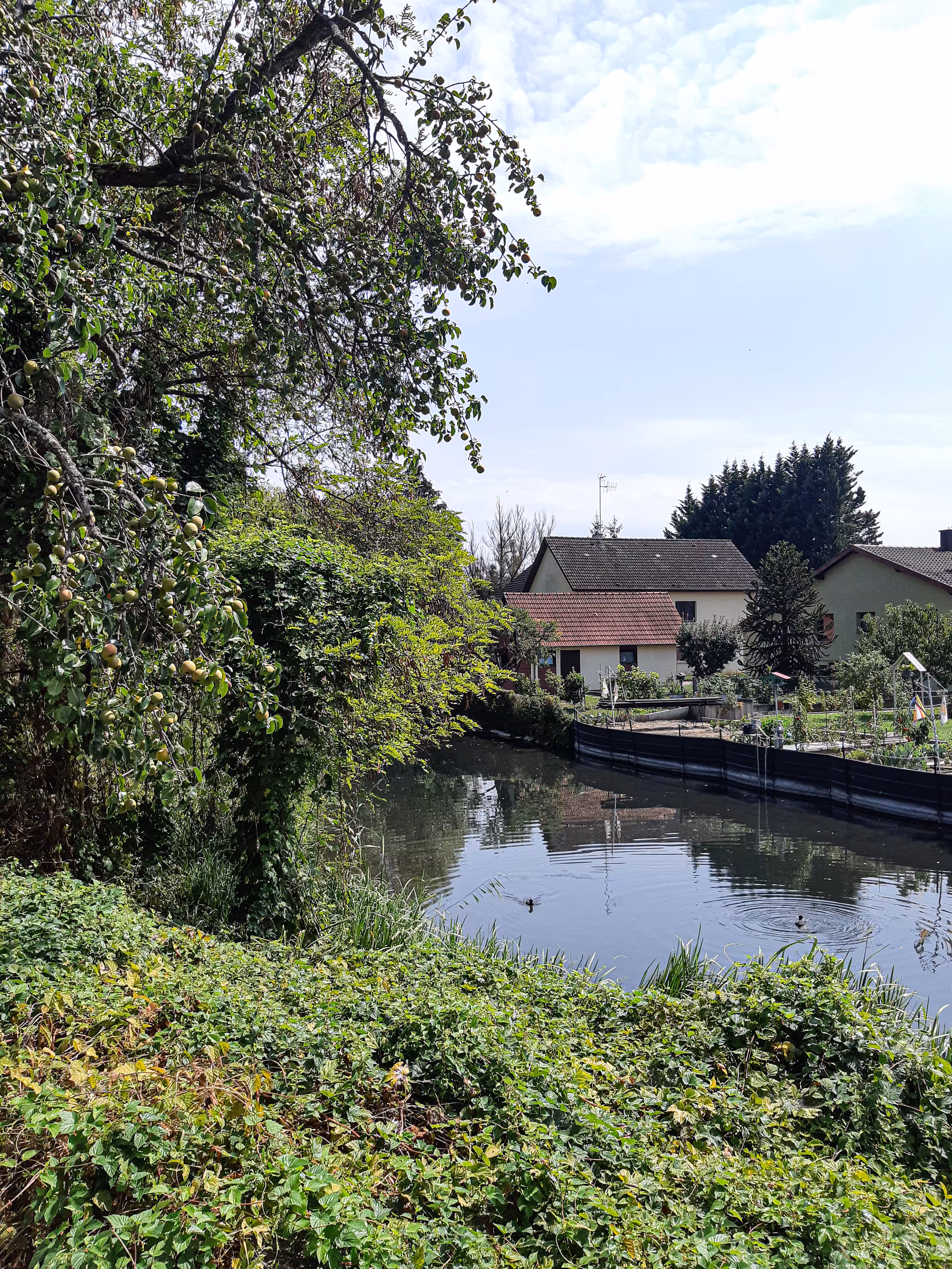 Beside the River