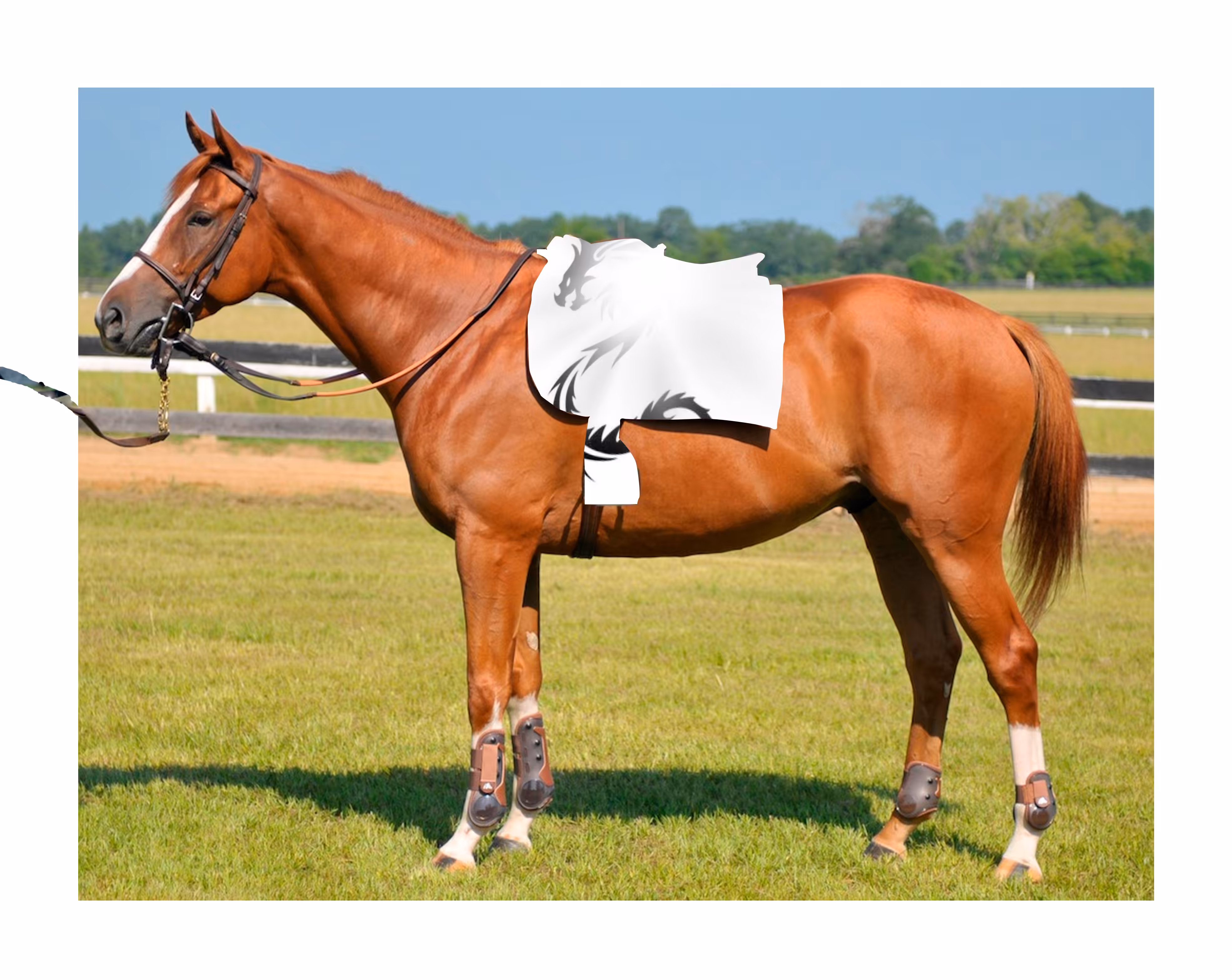 The Next 3 Things To Immediately Do About TEZOS HORSE KETAMINE TRIBAL DRAWING