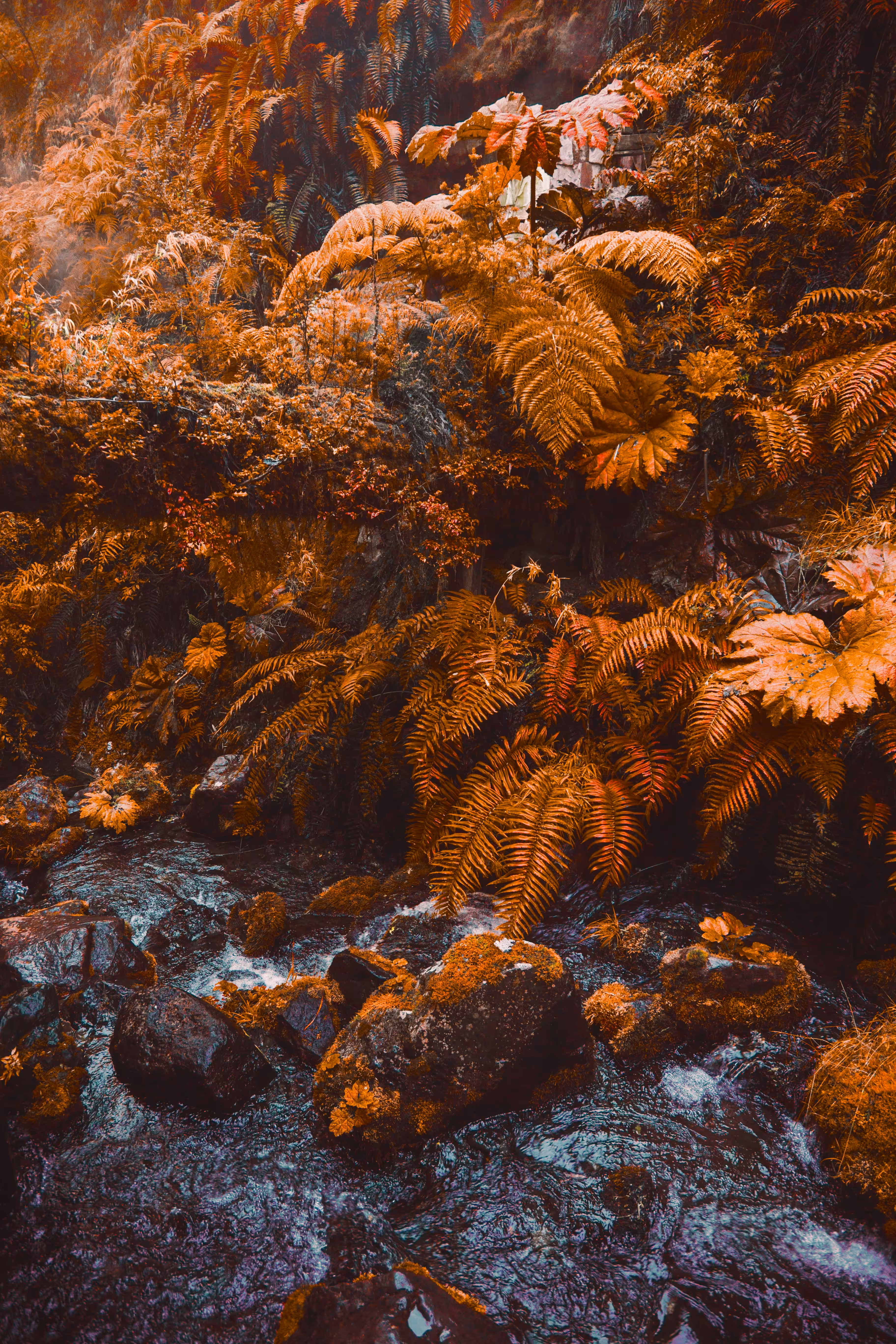 Strange Hues