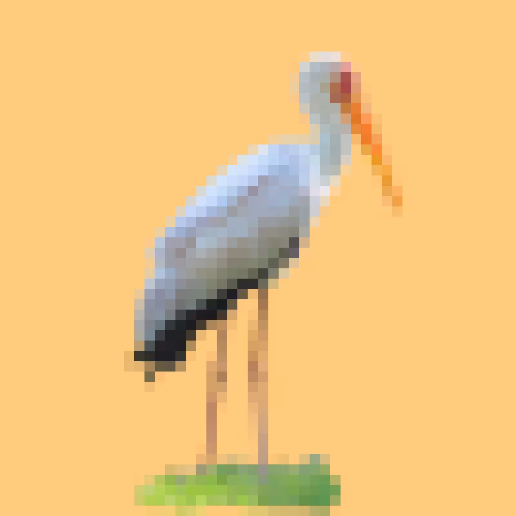 PixlBird #028