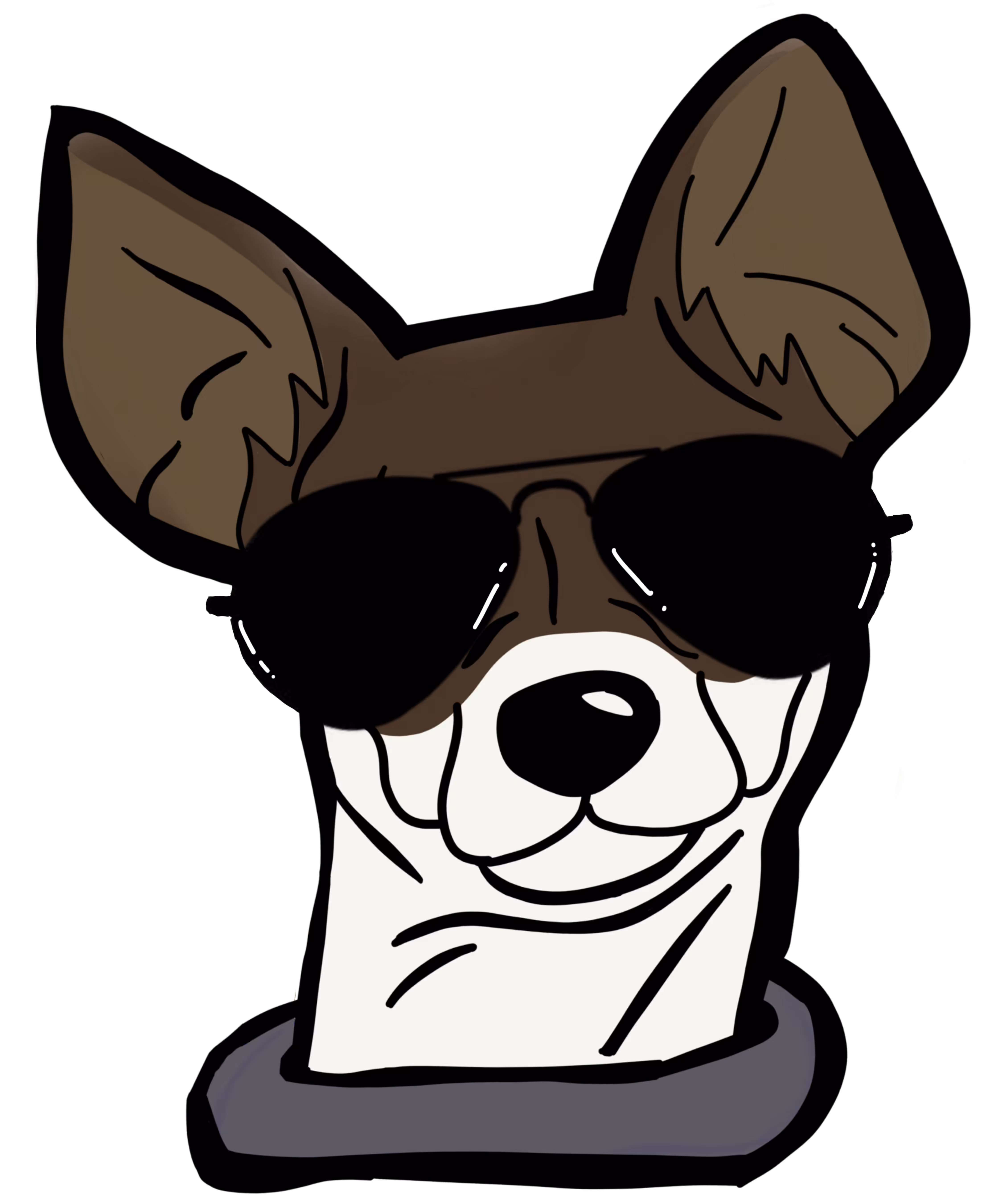 Cool Chihuahua
