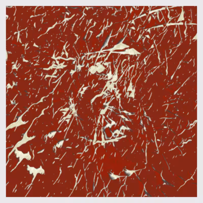 Dynamical System #12