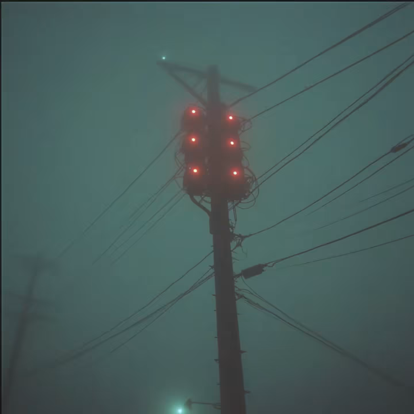 GIF#204