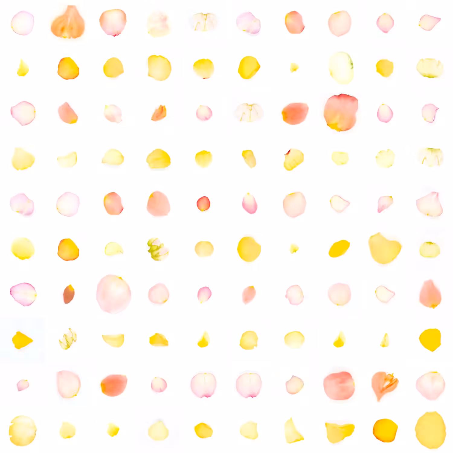 Infinite Petals 10x10#900006