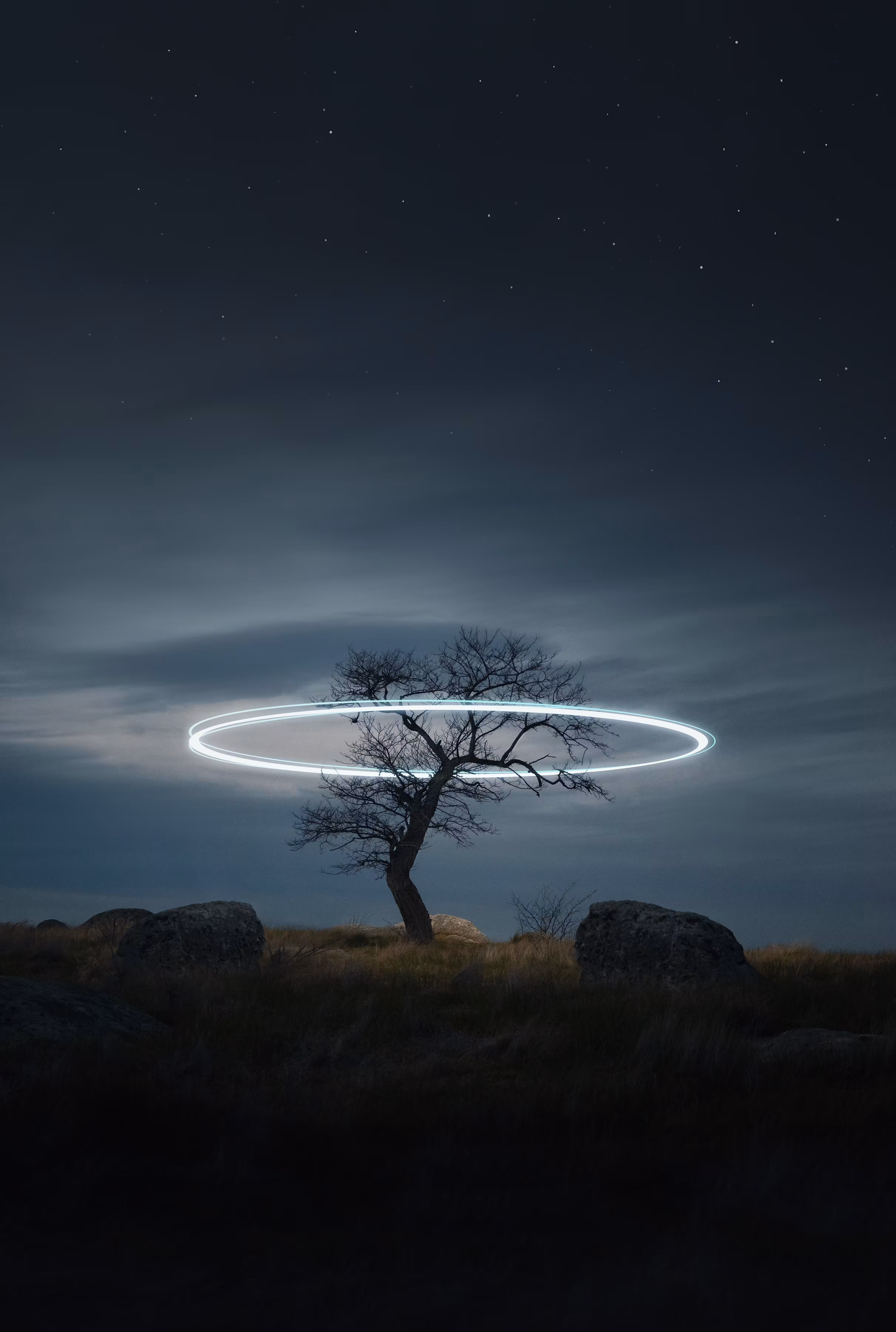 Circle of Life