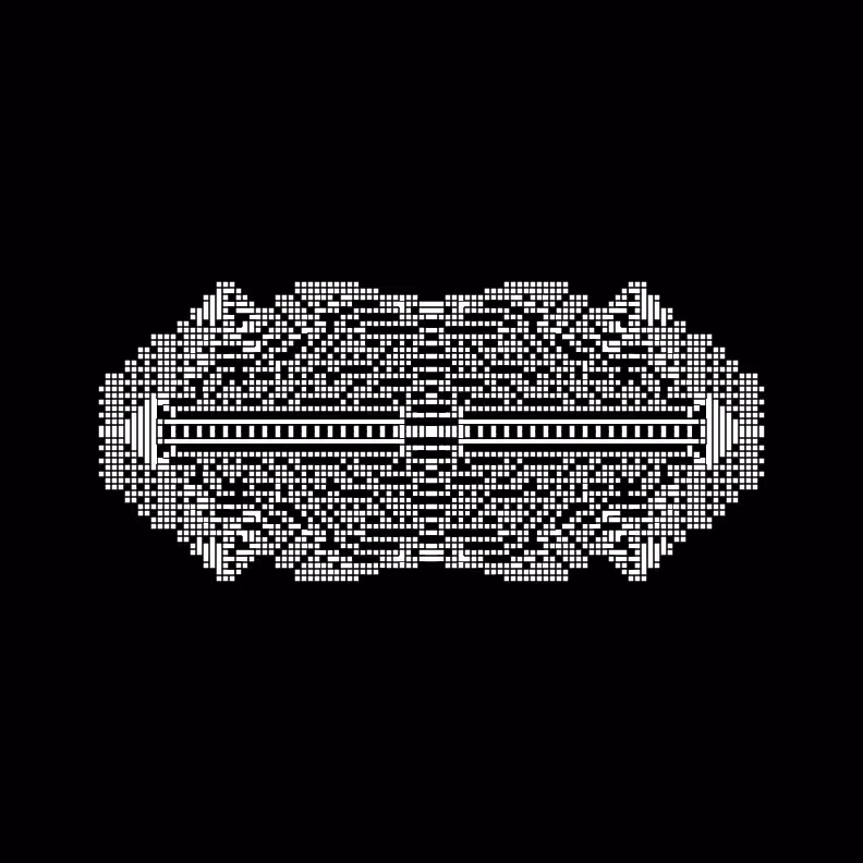 Cellular Canvas #79