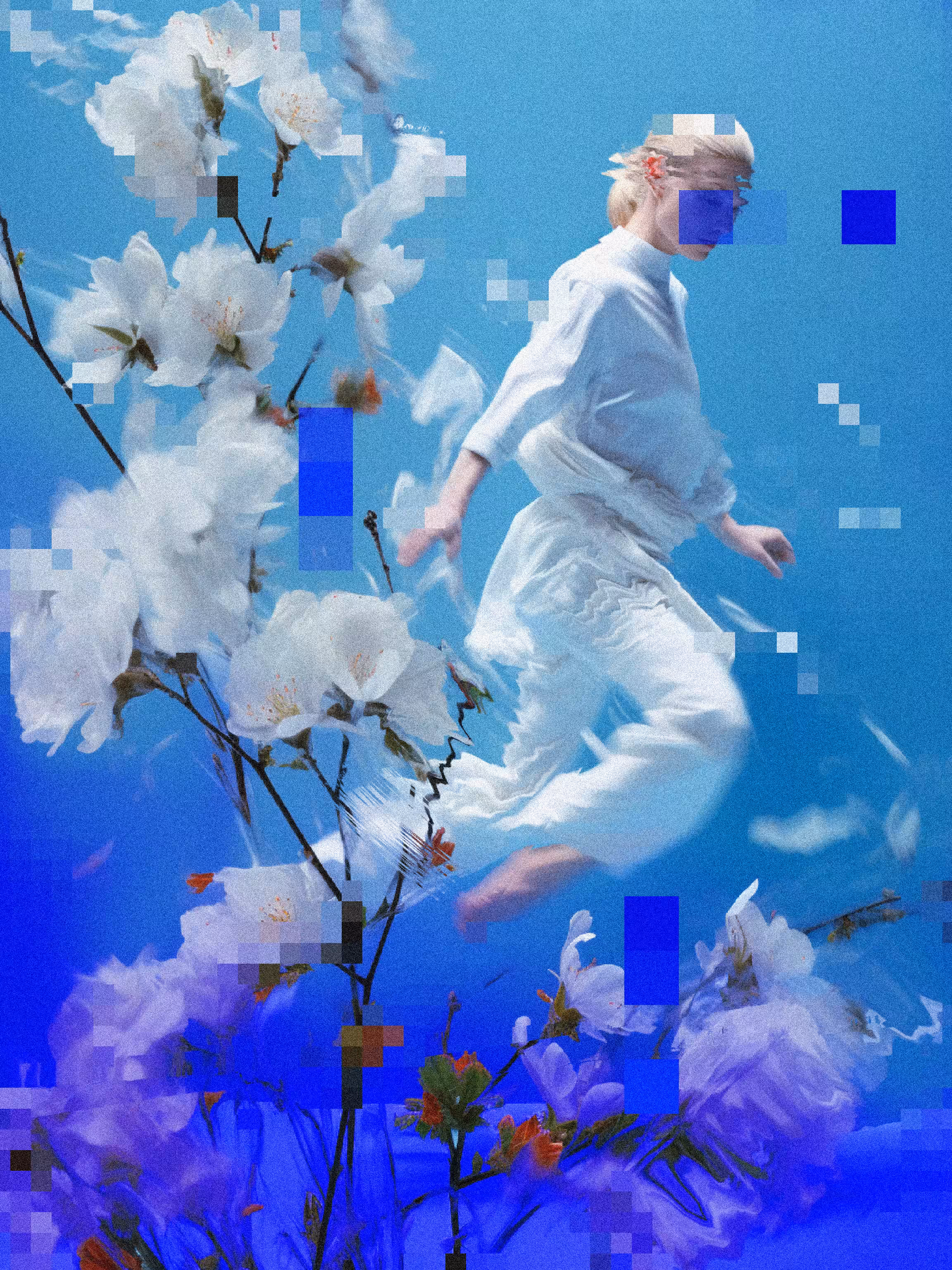 Fleeting Visions