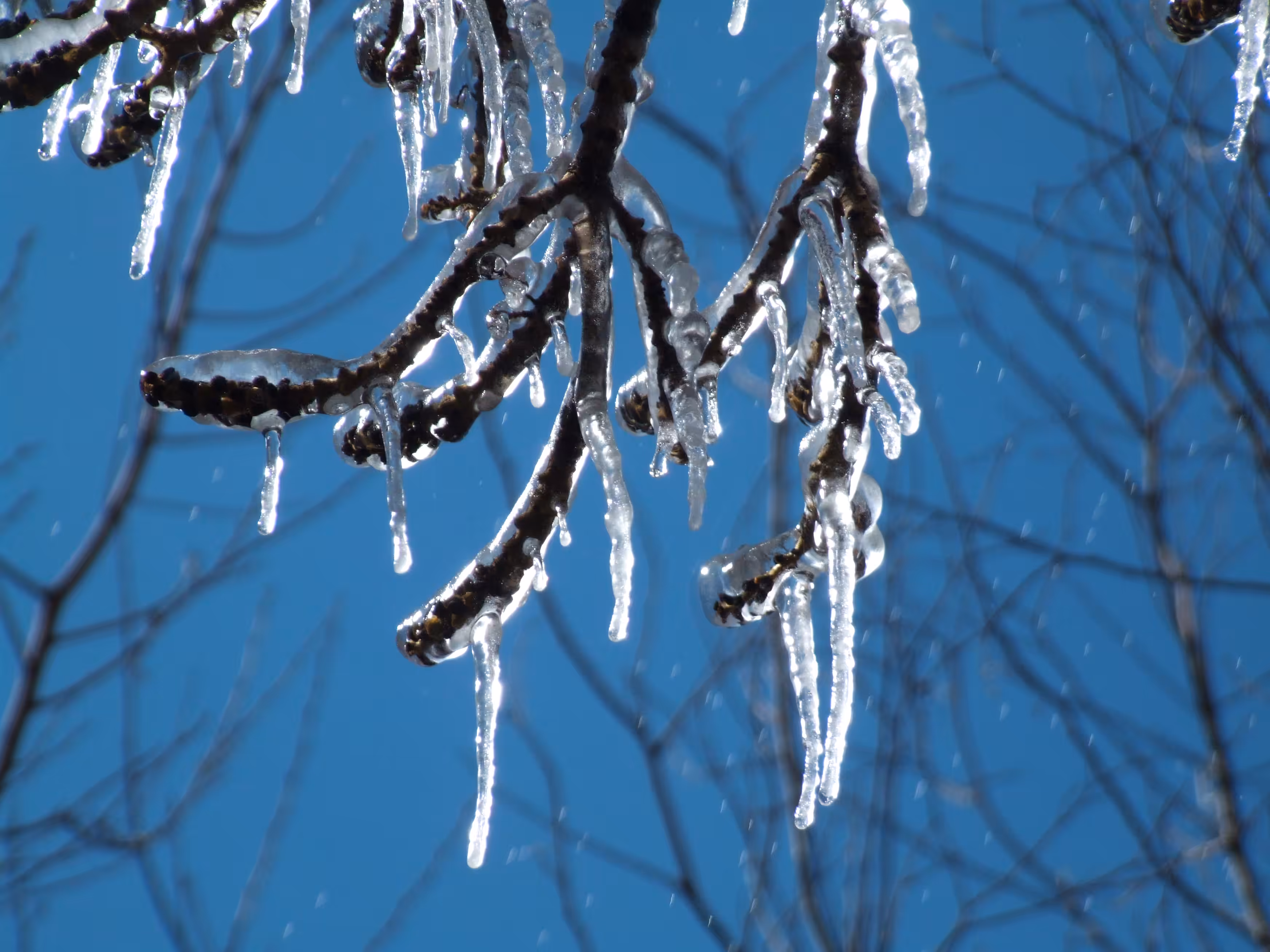 The last days of freezing