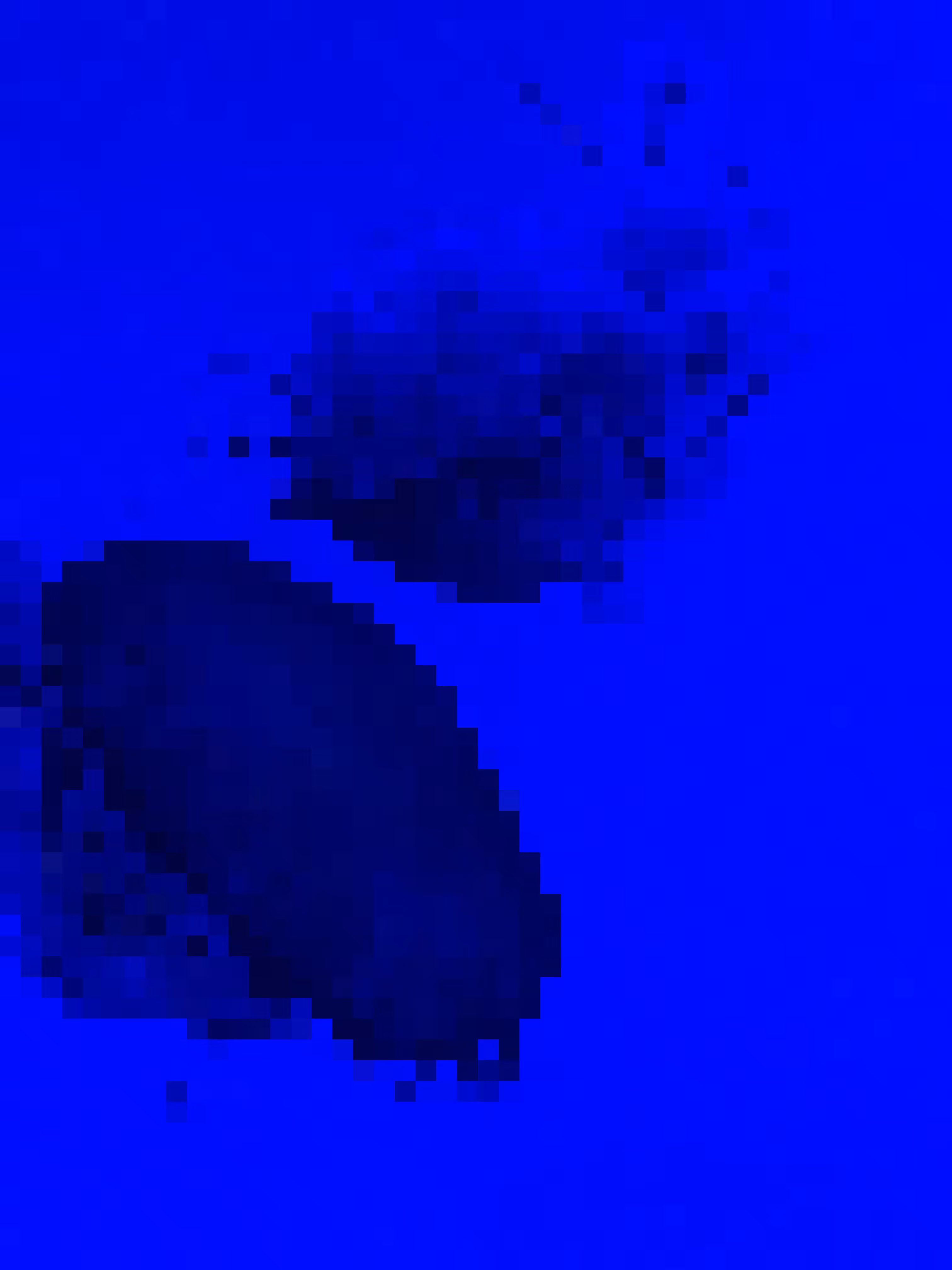 two pixelated, scary jellyfish