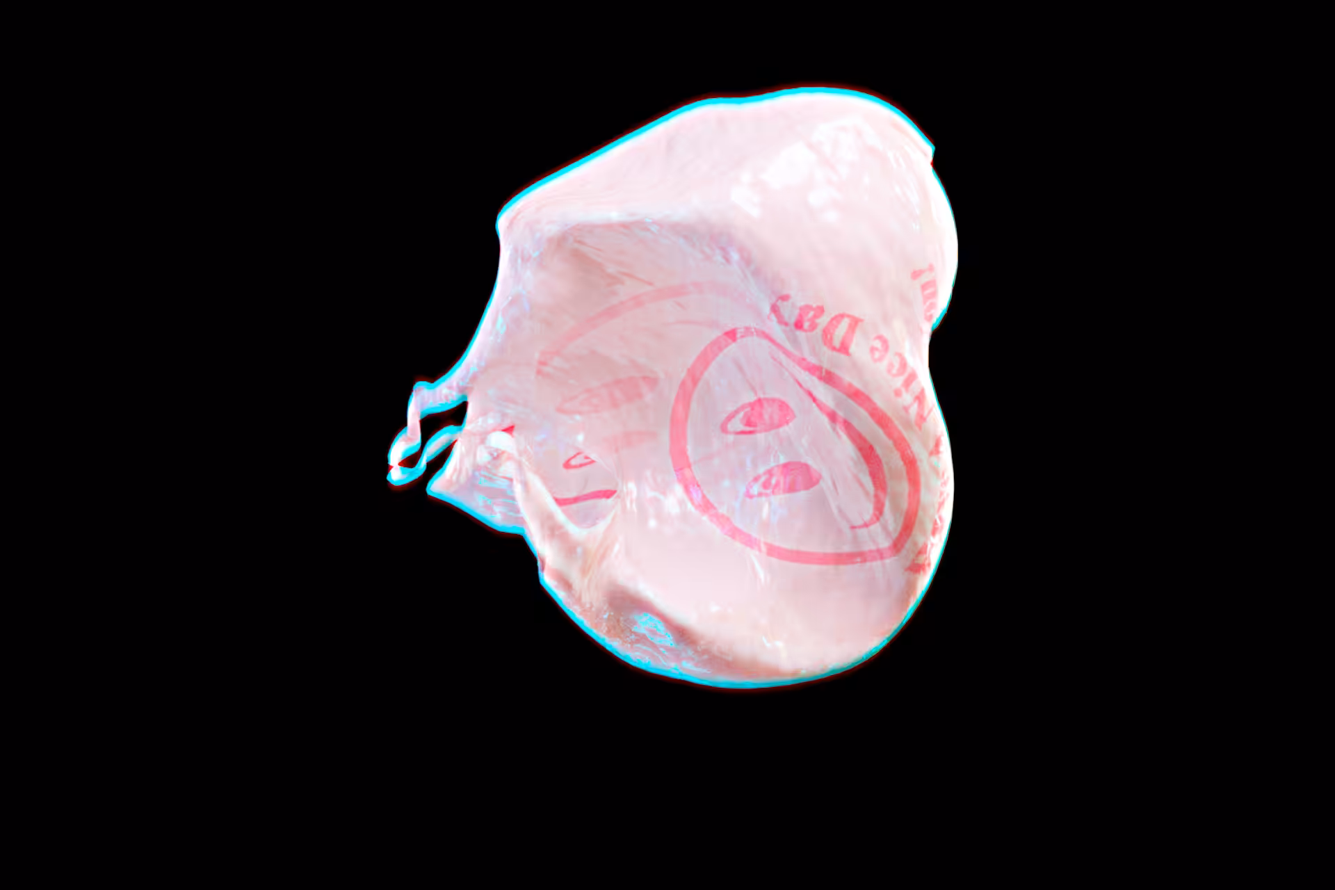the bag