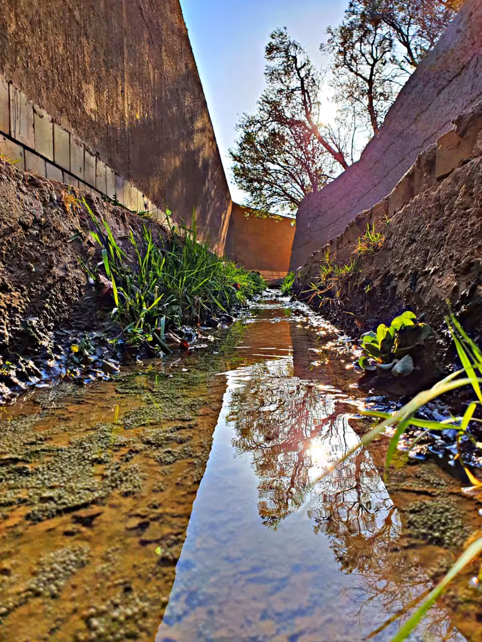 Moments of life like a spring like a river