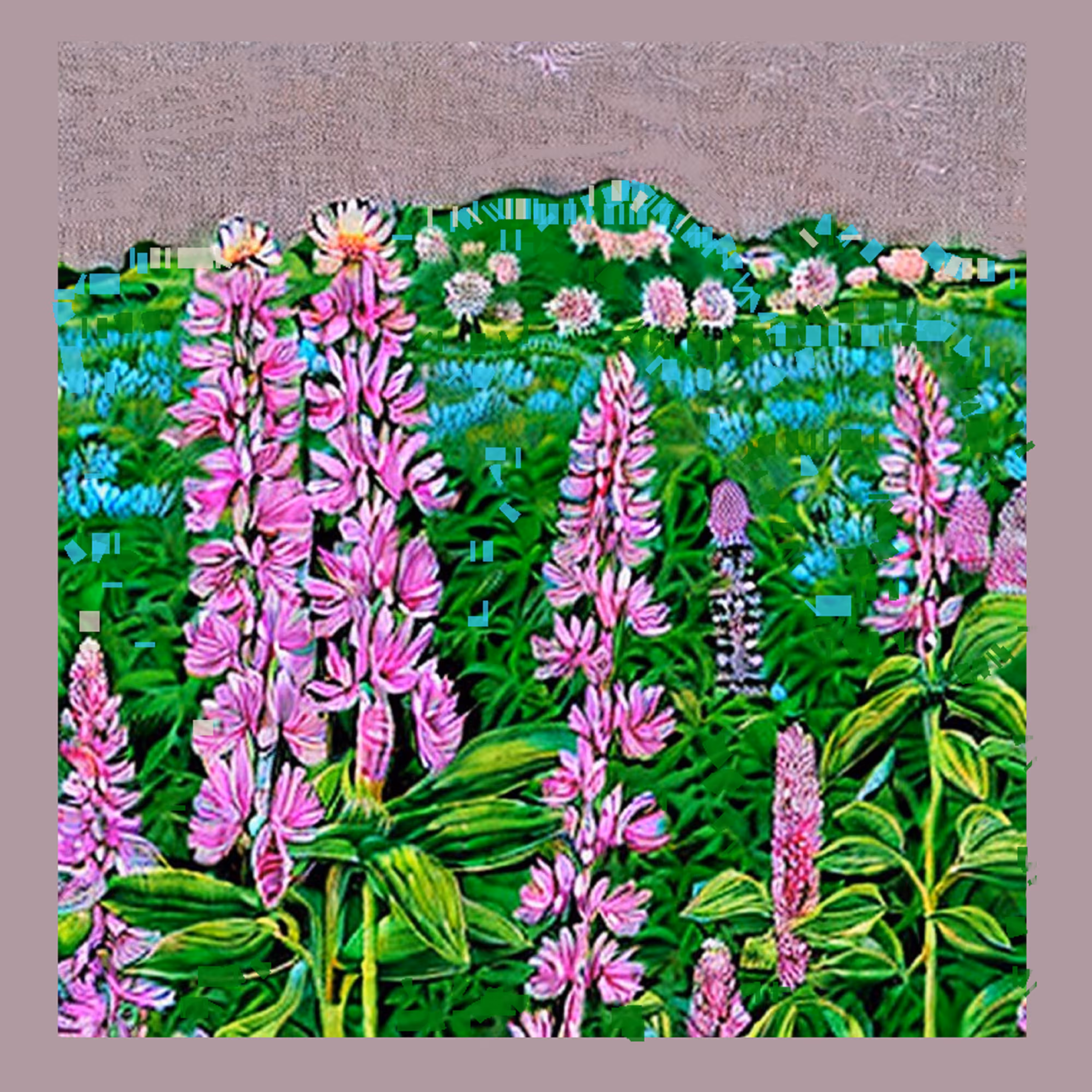 LUPINUS 6