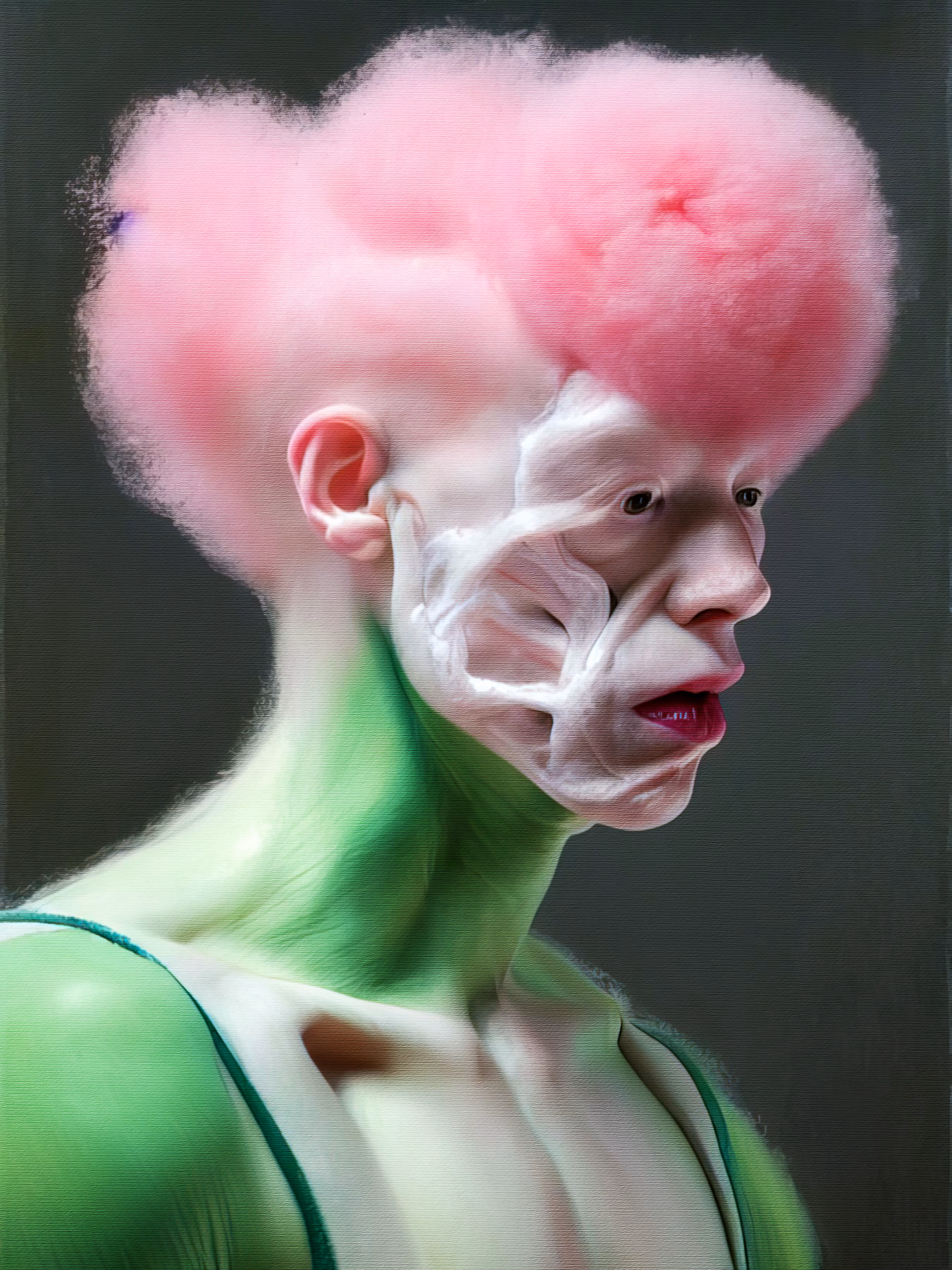 Anatomical Study 35.0
