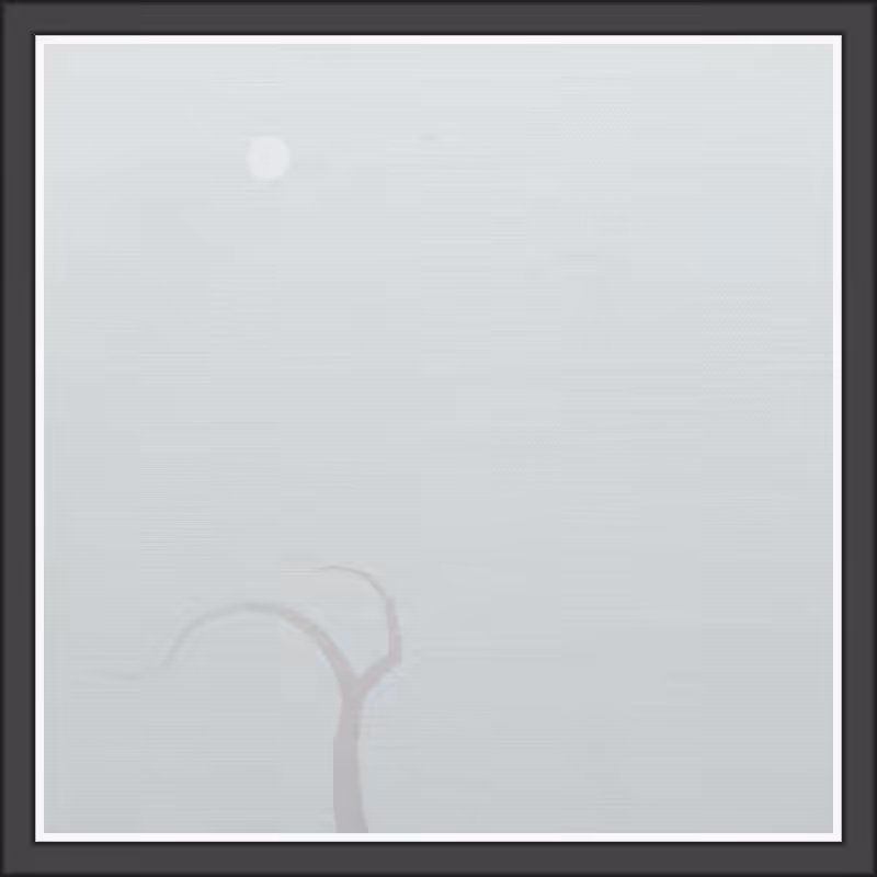 The Foggy Trees #48