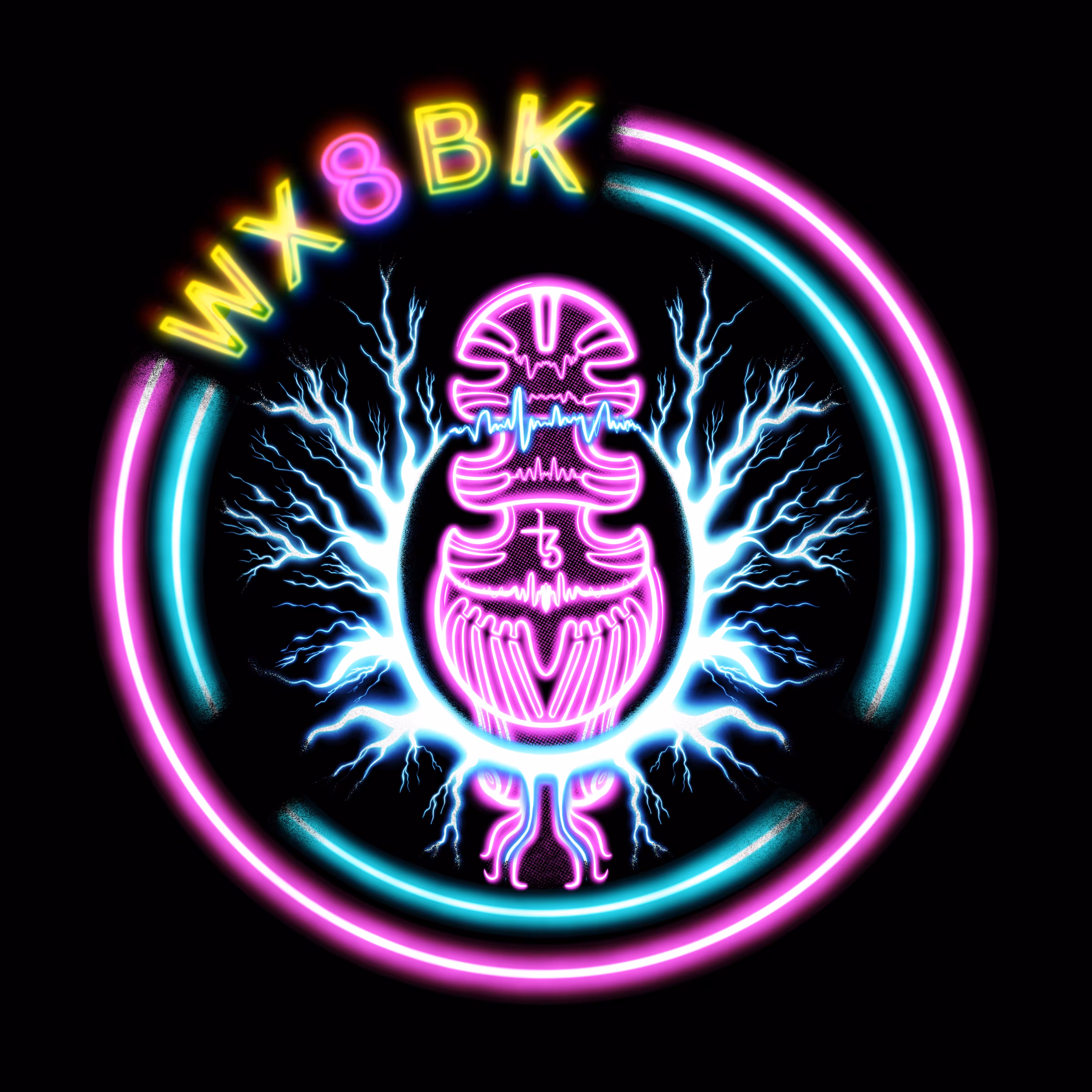 WX8BK DAO Token Entry