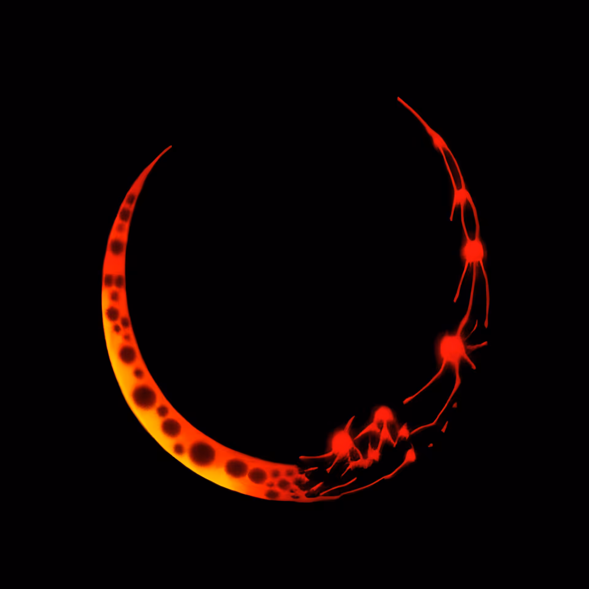 Astrum Metanoia #8