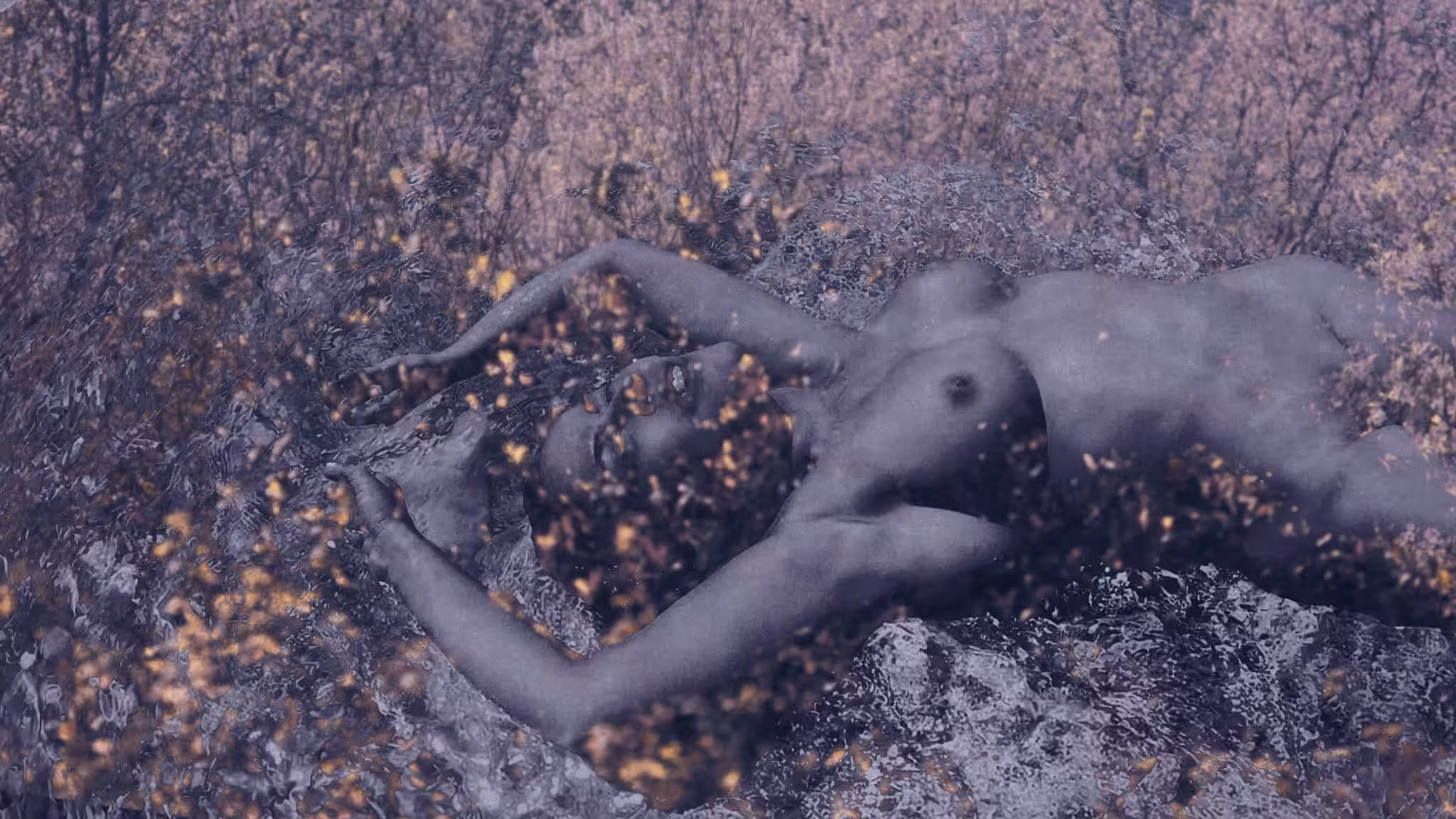 Diary Of Pain: The Demeter