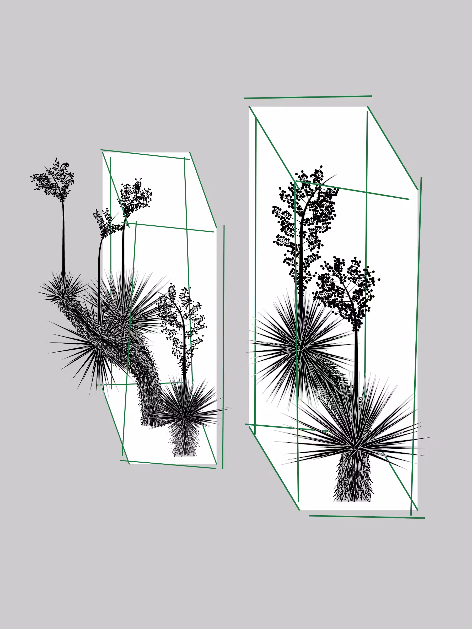 Marfa Yucca #271