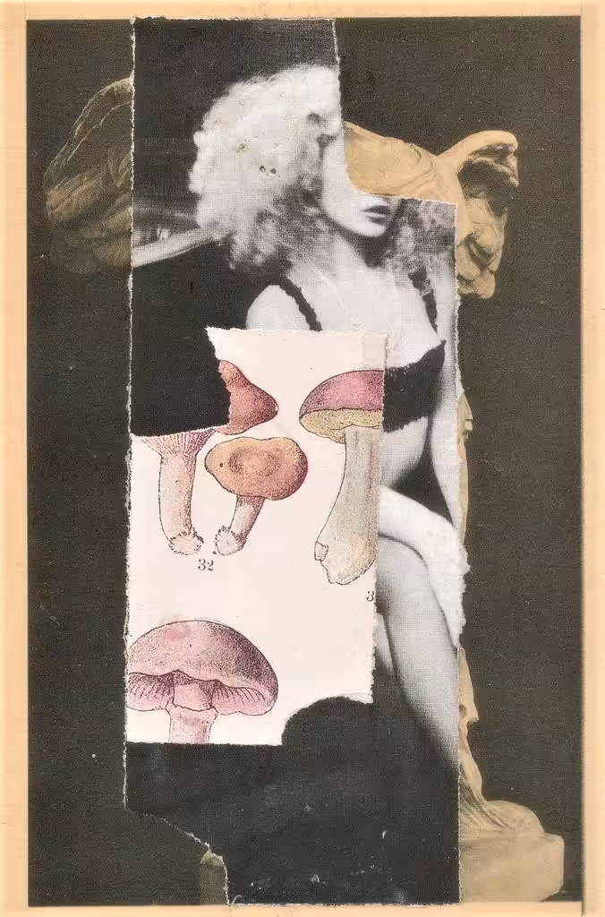 32