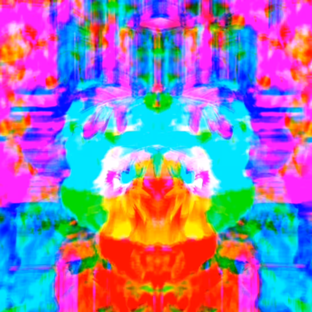 Psychedelic Space Panda! 01