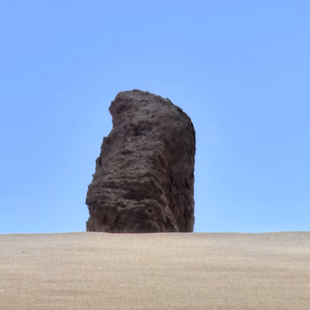 Desert visions: BLACKROCK no2